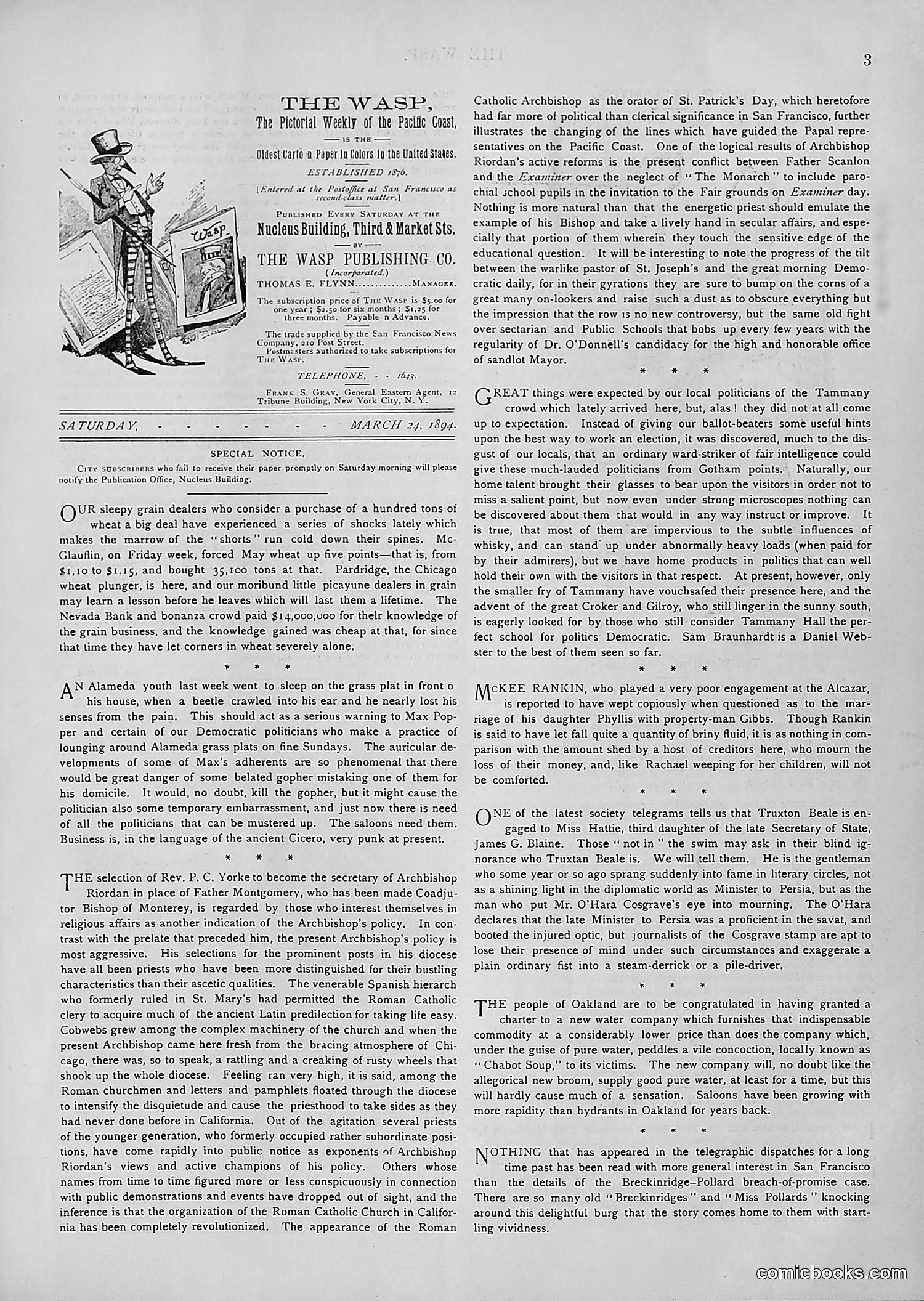 The Wasp — 1894 — page 238 of 552