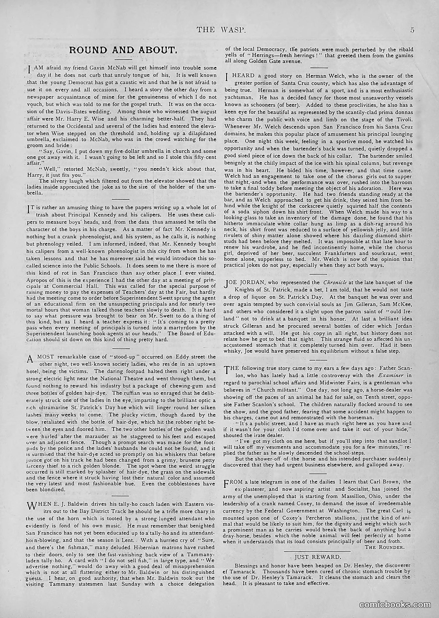 The Wasp — 1894 — page 240 of 552
