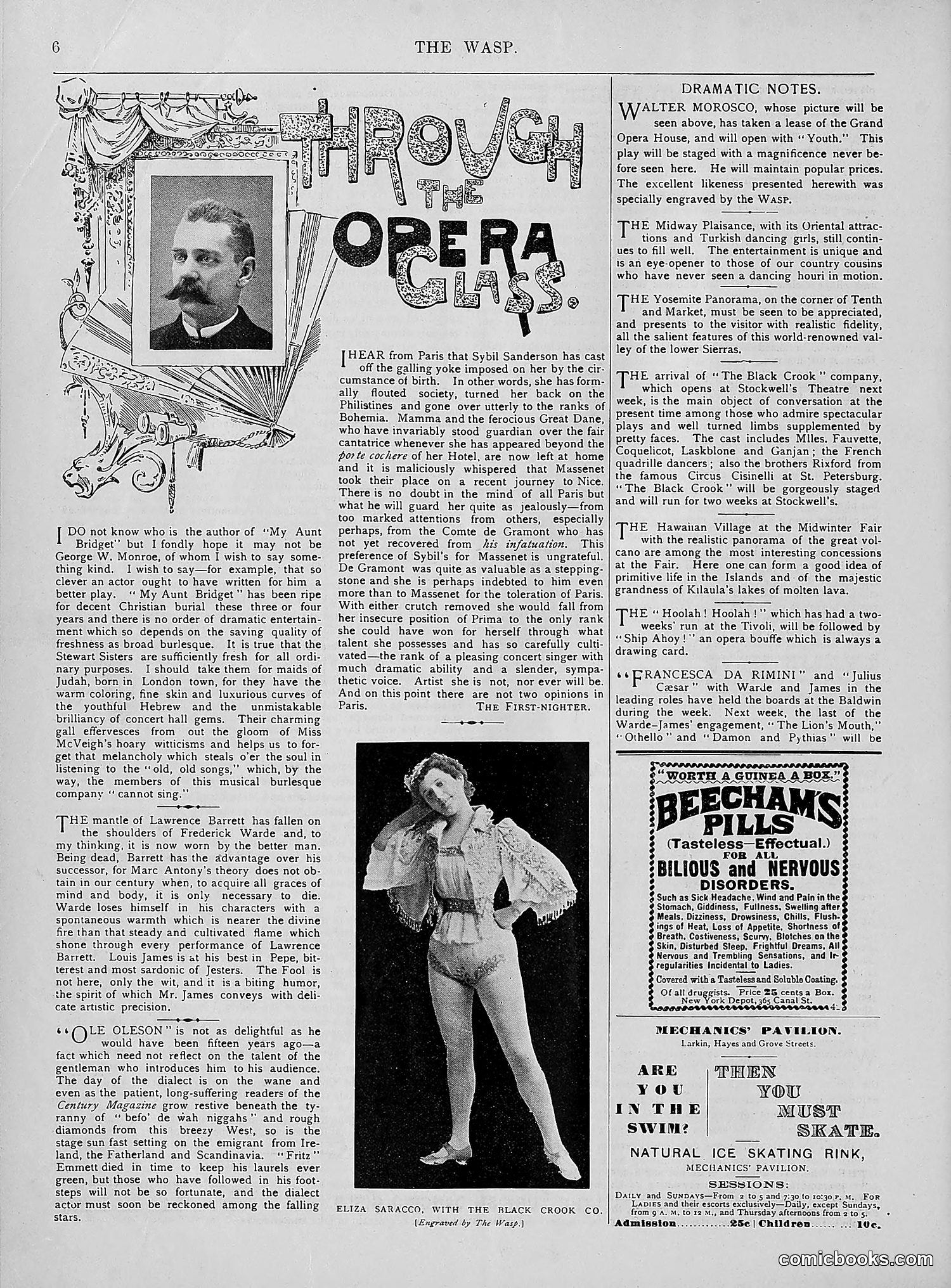 The Wasp — 1894 — page 241 of 552