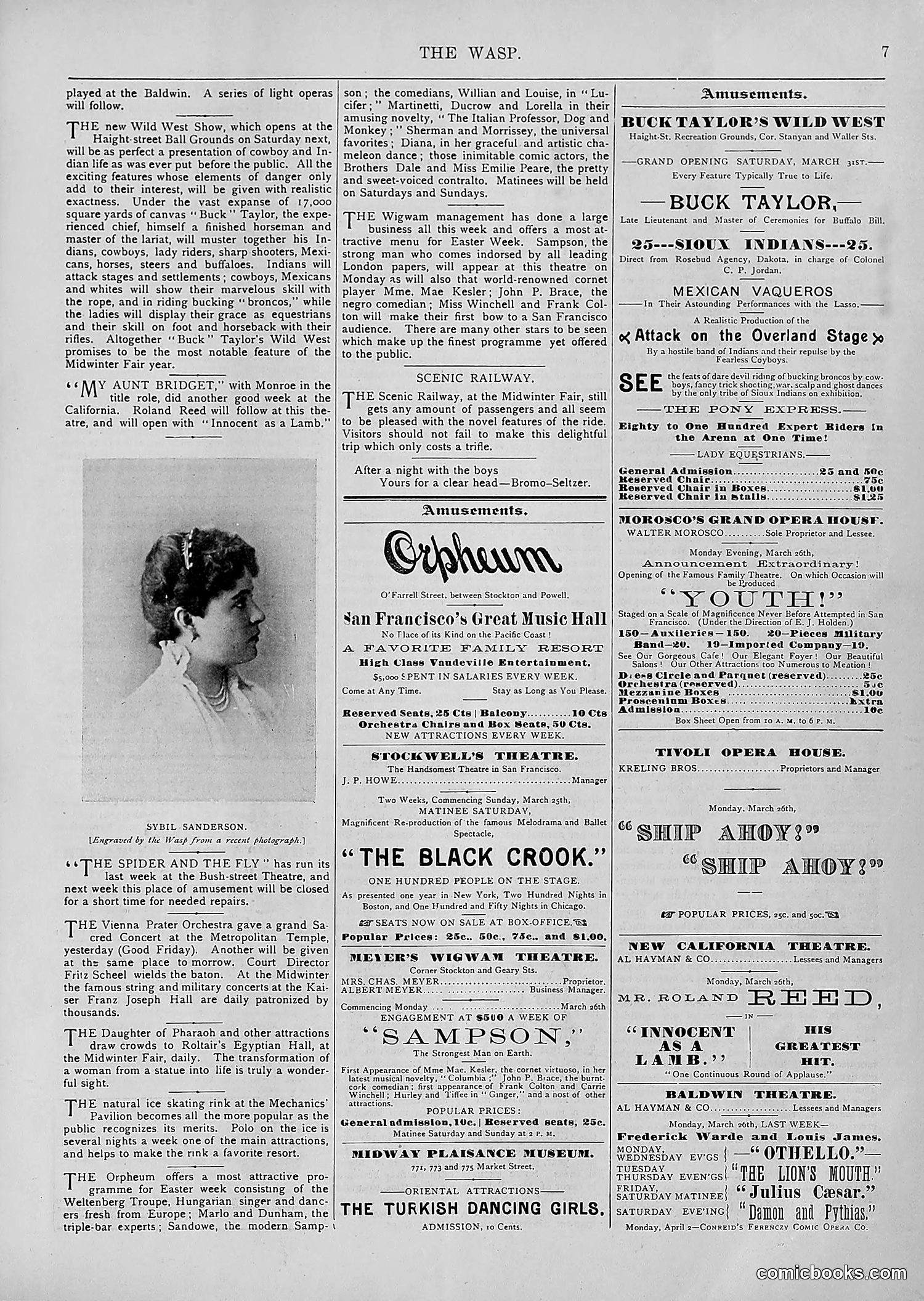 The Wasp — 1894 — page 242 of 552