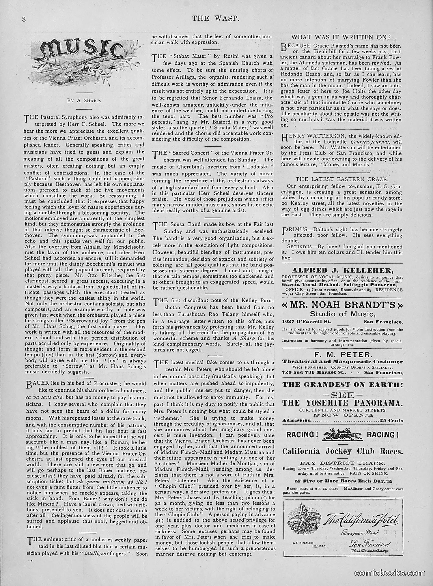 The Wasp — 1894 — page 243 of 552