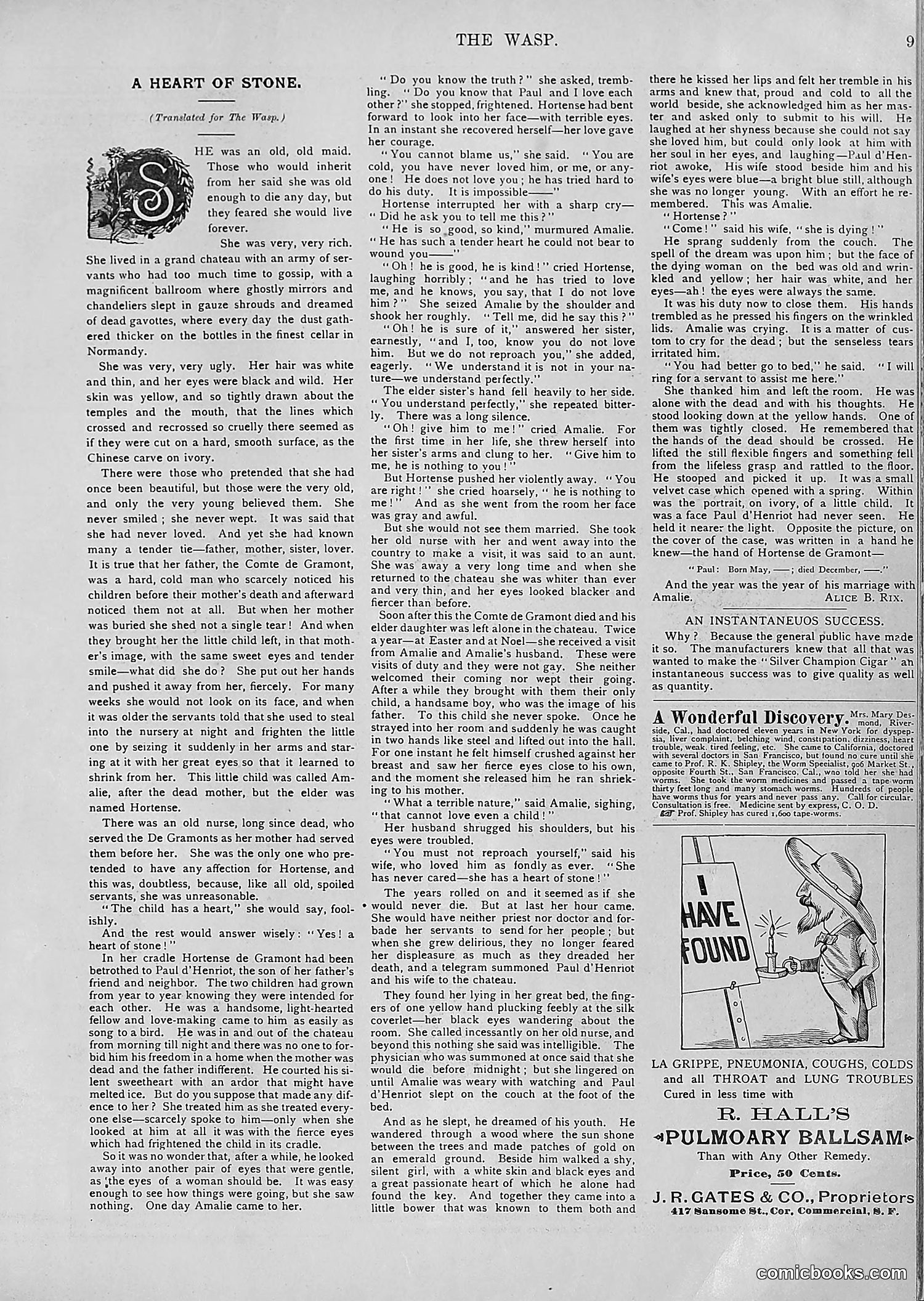 The Wasp — 1894 — page 244 of 552