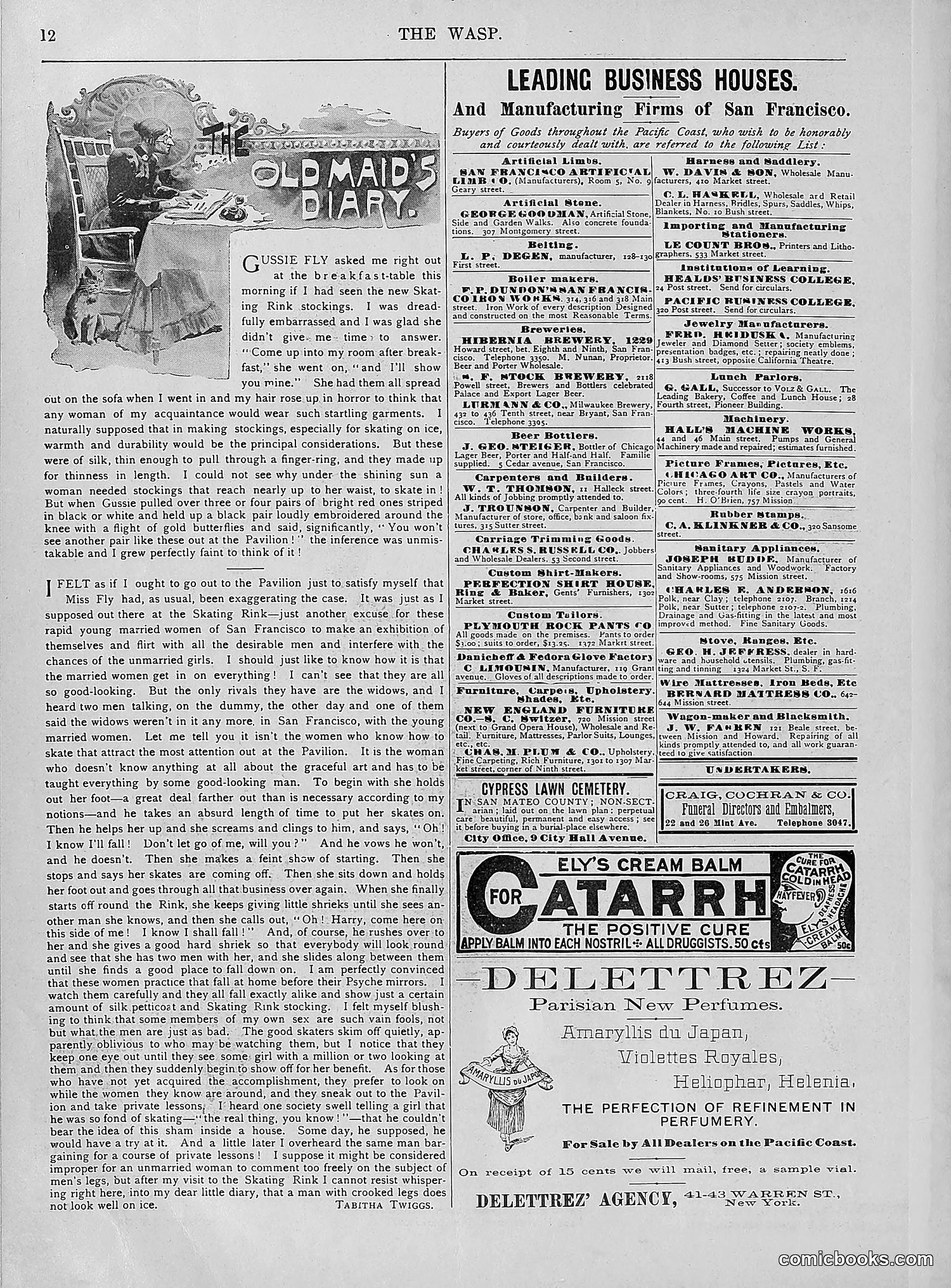 The Wasp — 1894 — page 247 of 552