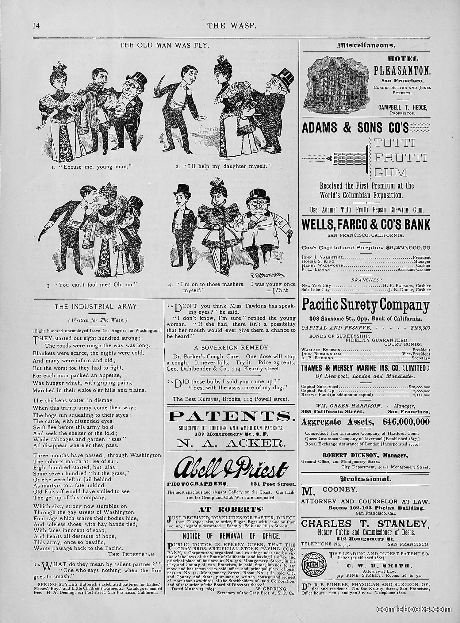 The Wasp — 1894 — page 249 of 552