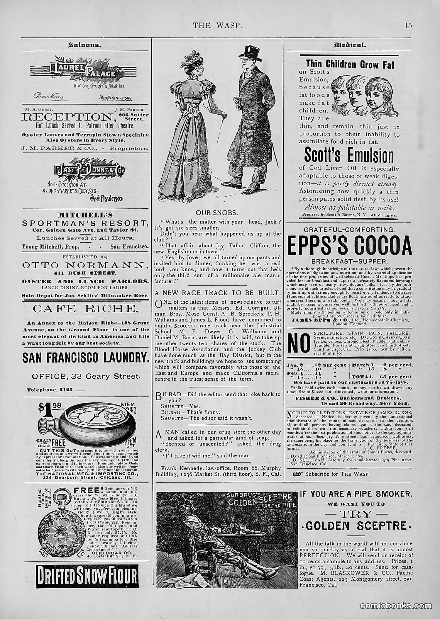 The Wasp — 1894 — page 250 of 552
