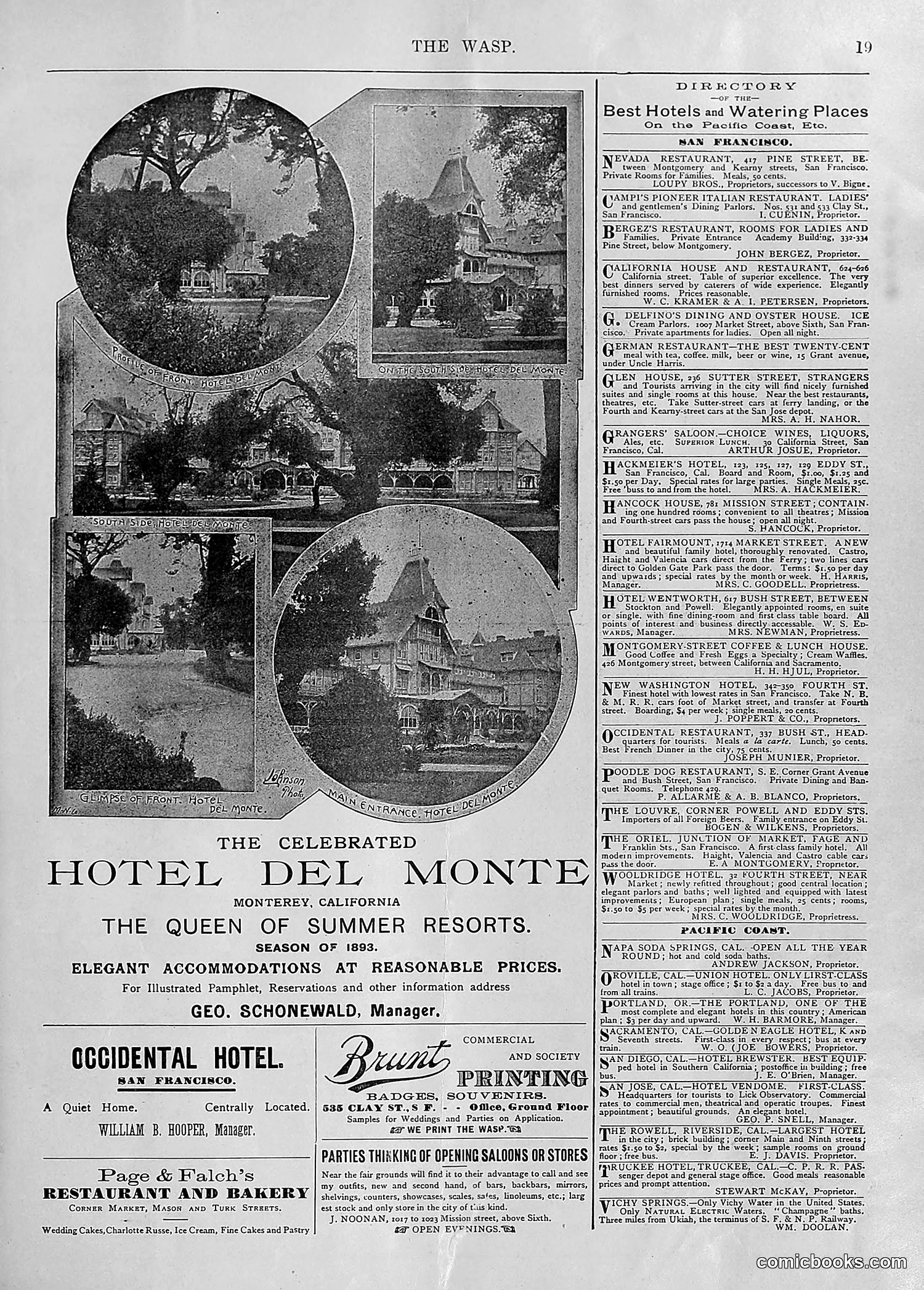 The Wasp — 1894 — page 26 of 552
