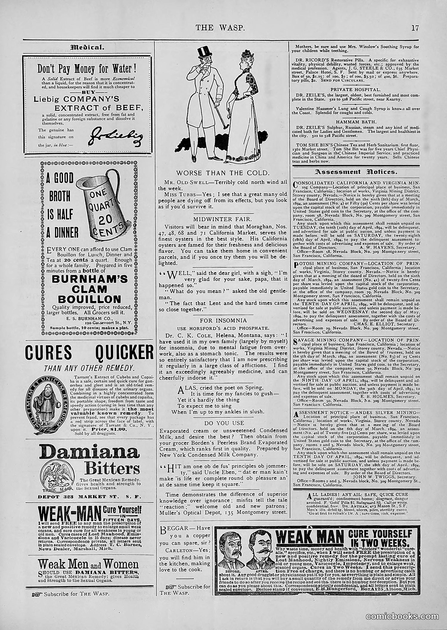 The Wasp — 1894 — page 252 of 552