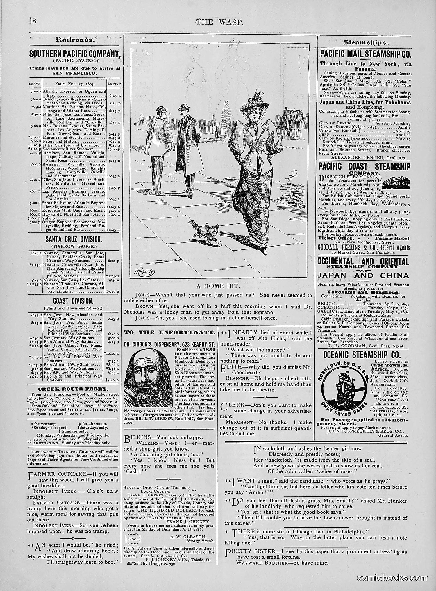 The Wasp — 1894 — page 253 of 552
