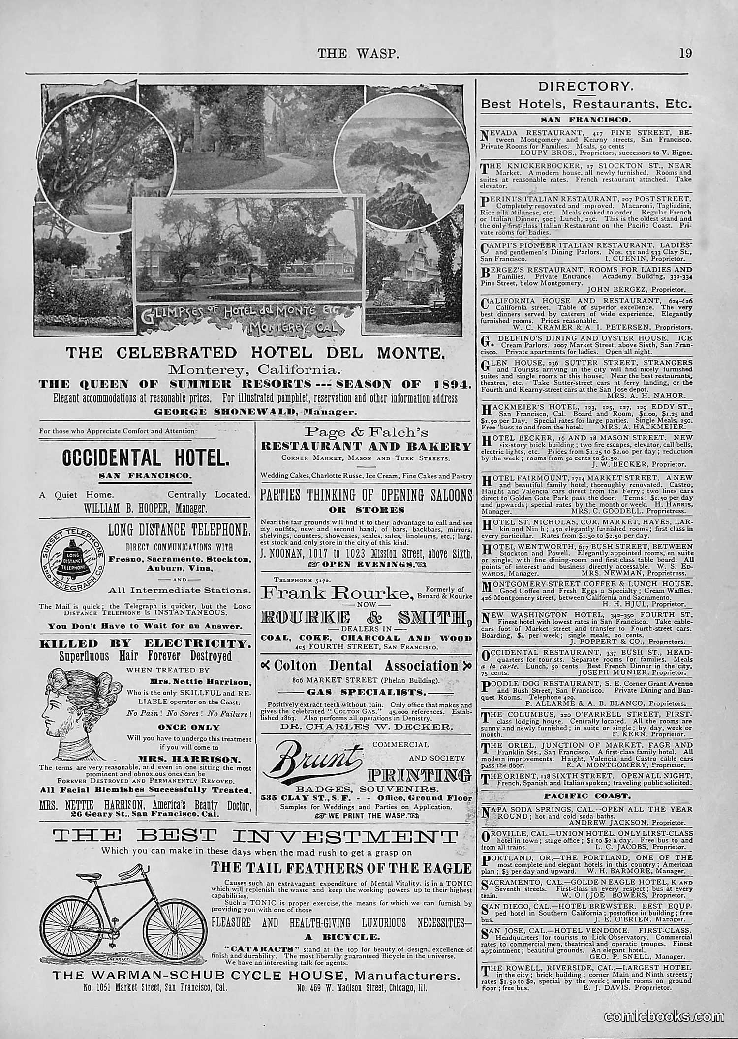 The Wasp — 1894 — page 254 of 552