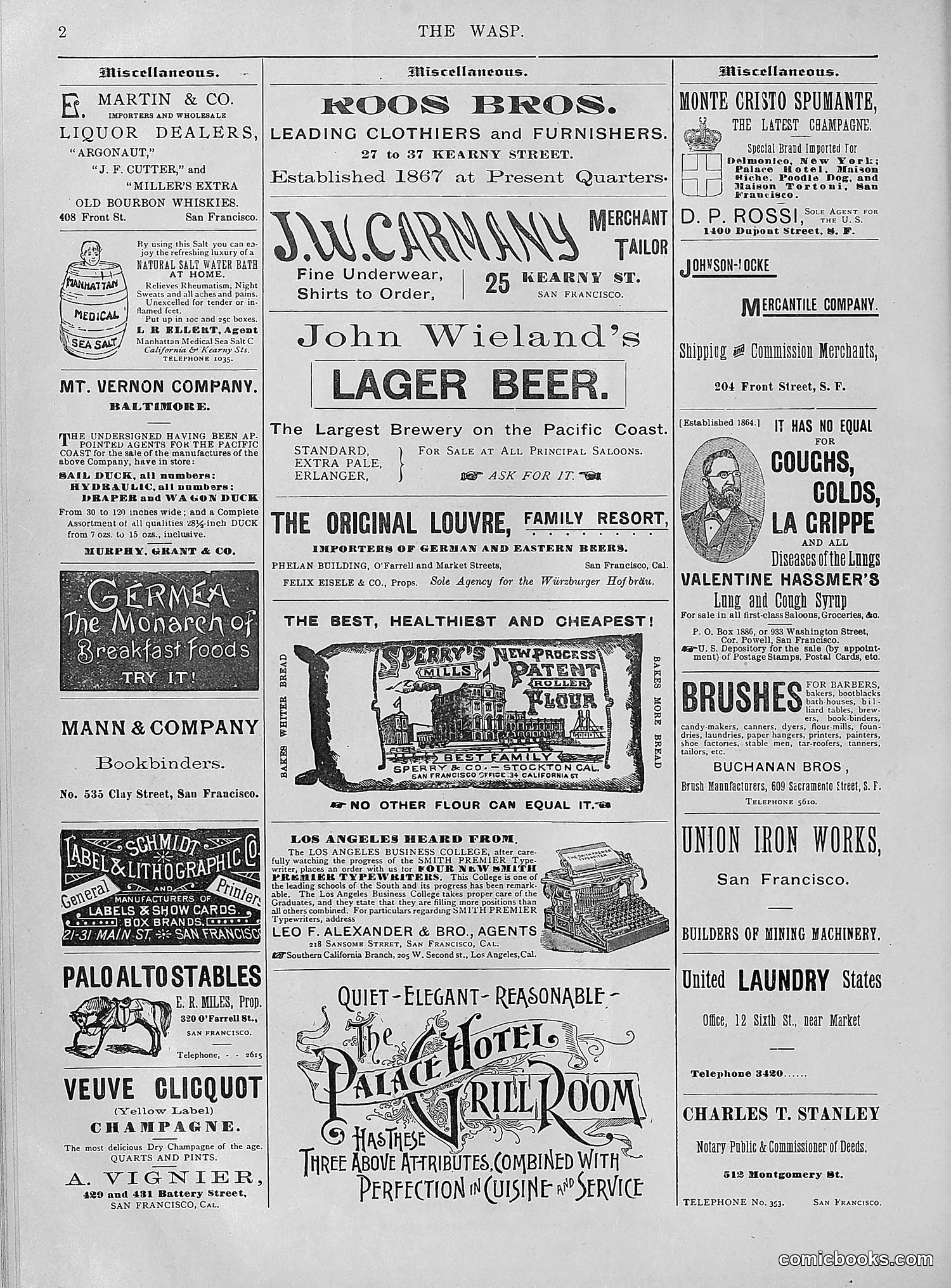The Wasp — 1894 — page 257 of 552