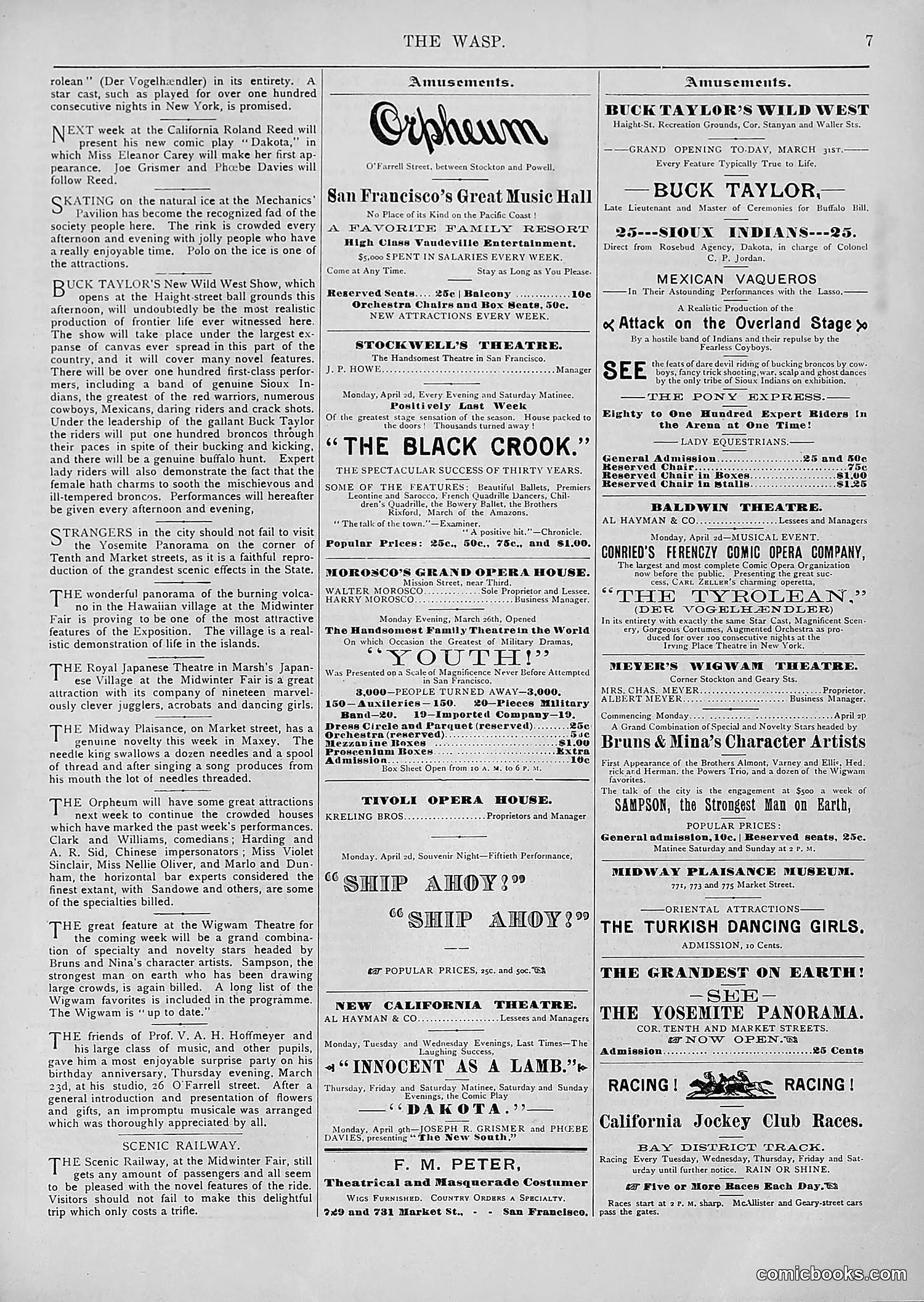 The Wasp — 1894 — page 262 of 552