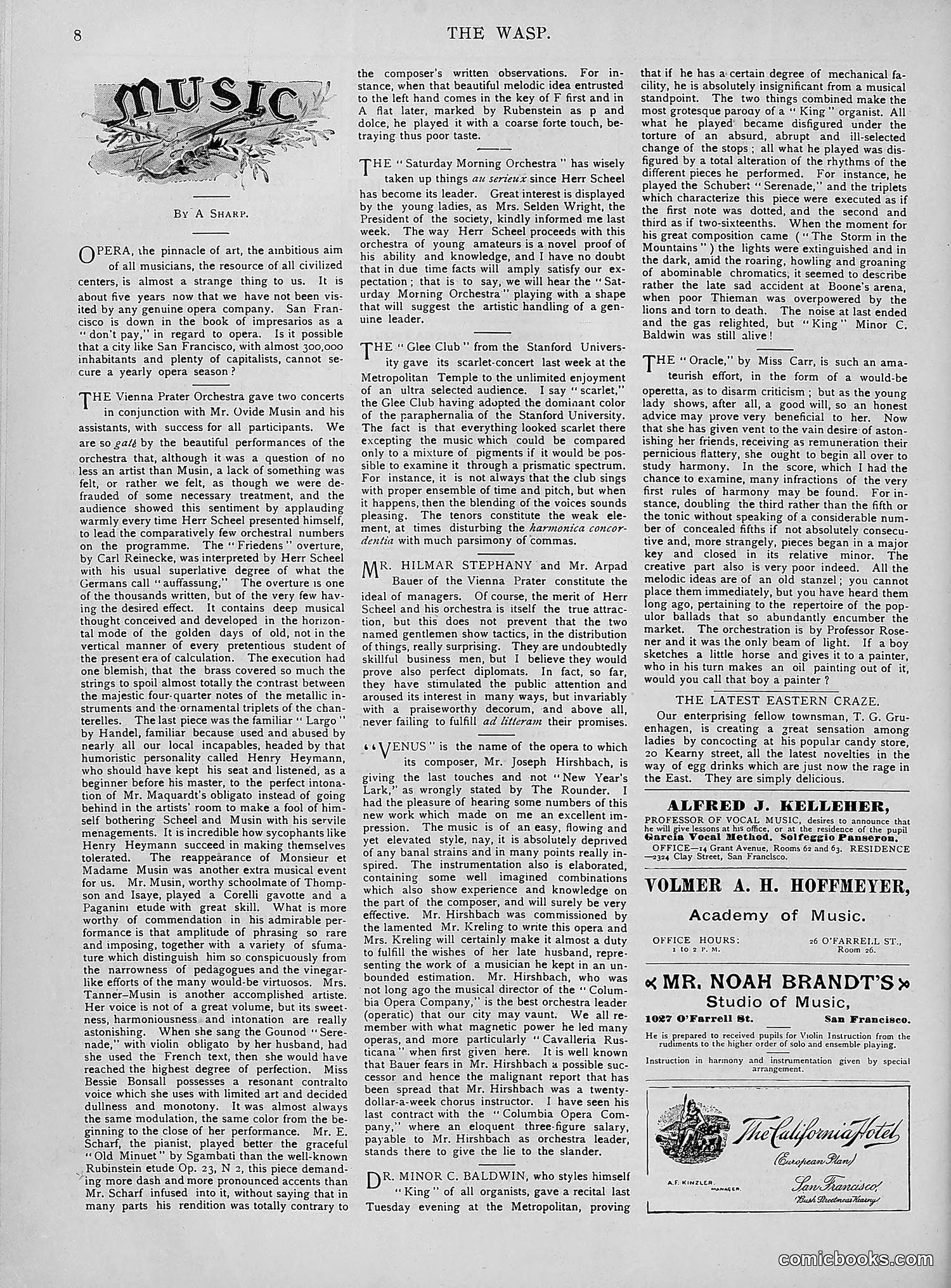 The Wasp — 1894 — page 263 of 552