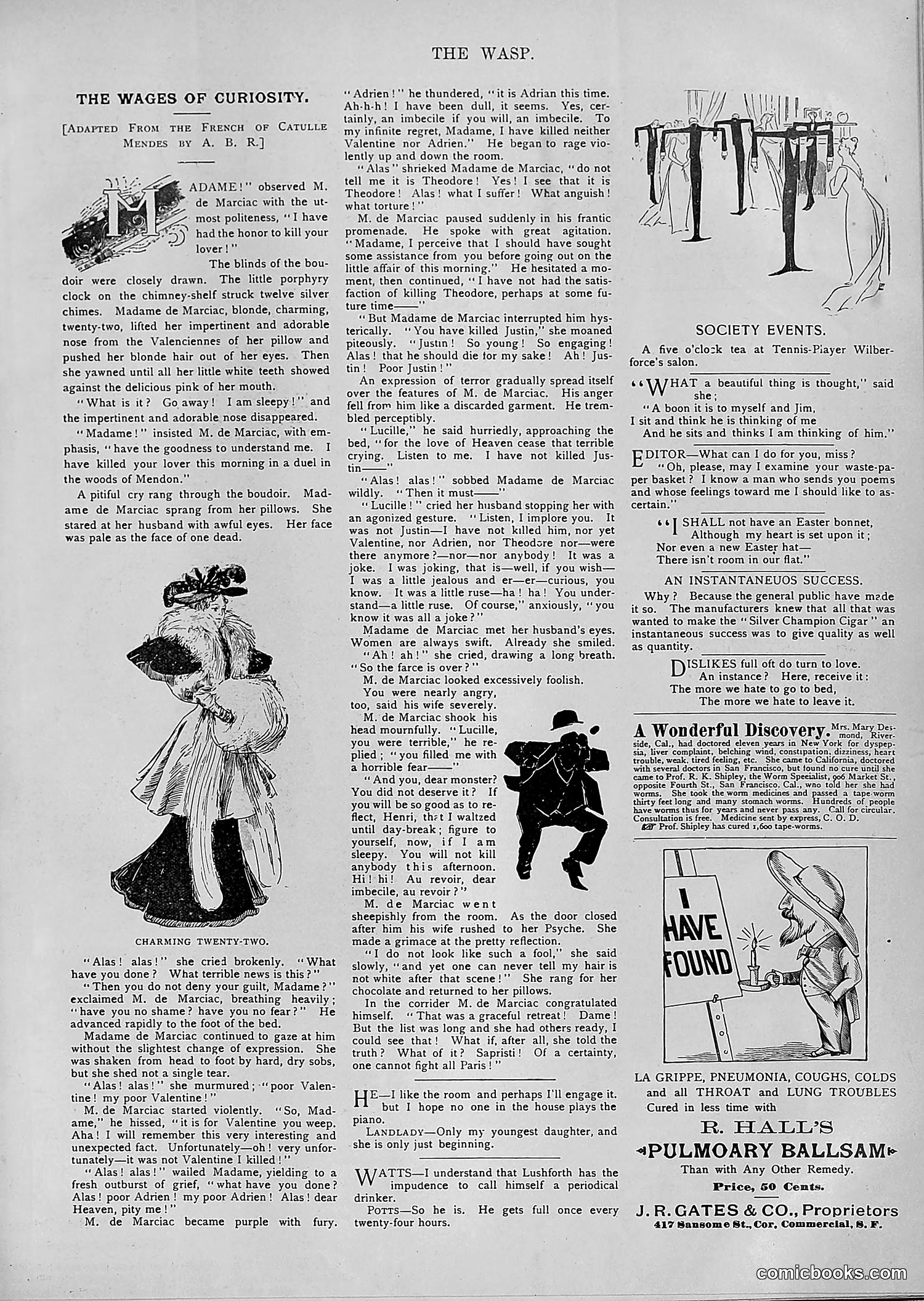 The Wasp — 1894 — page 264 of 552