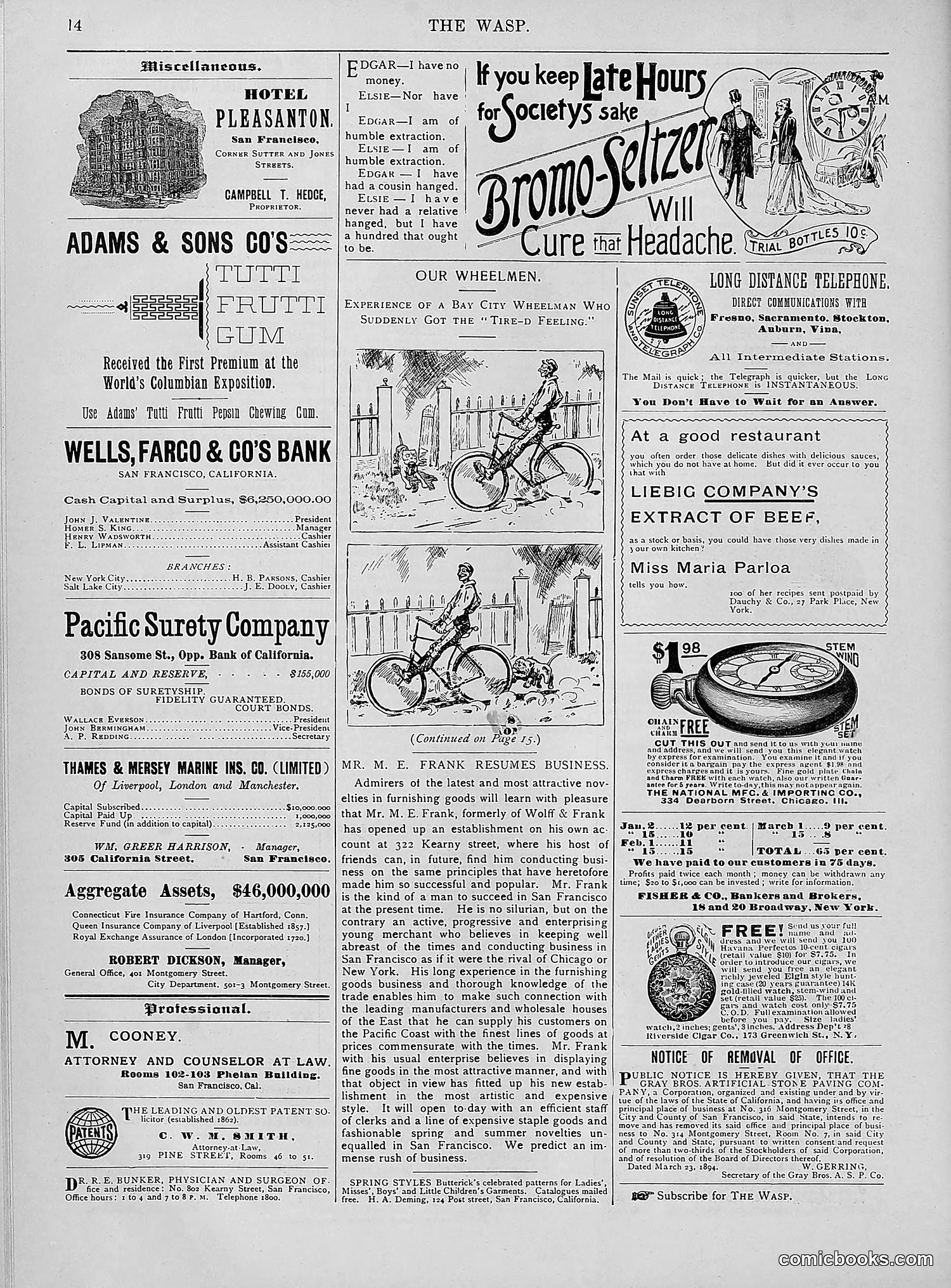 The Wasp — 1894 — page 269 of 552