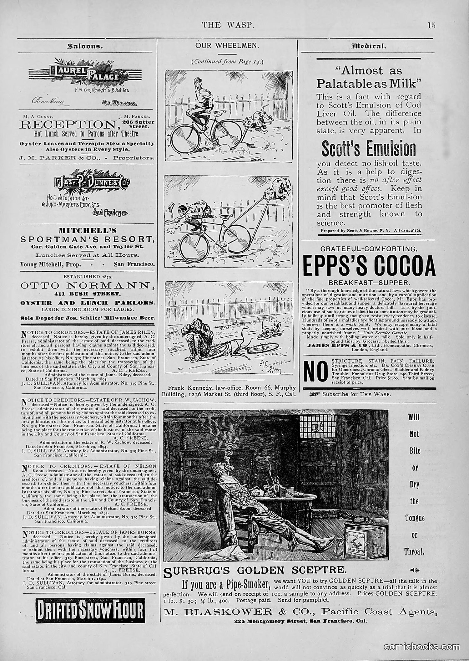 The Wasp — 1894 — page 270 of 552