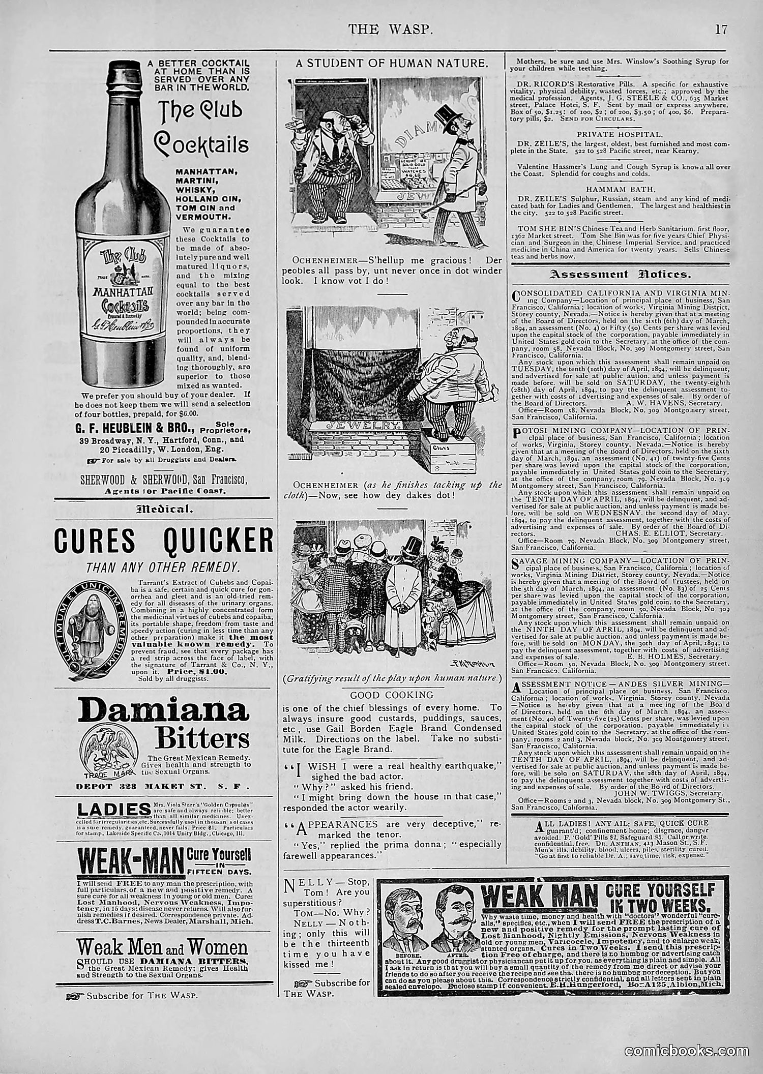 The Wasp — 1894 — page 272 of 552