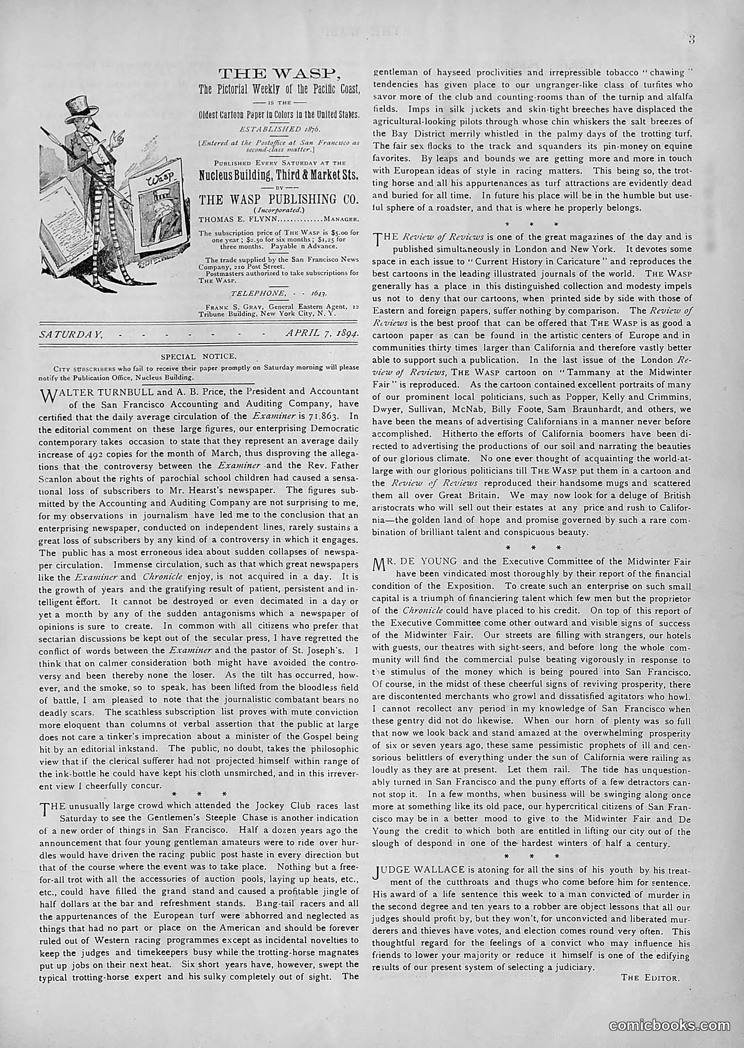 The Wasp — 1894 — page 278 of 552
