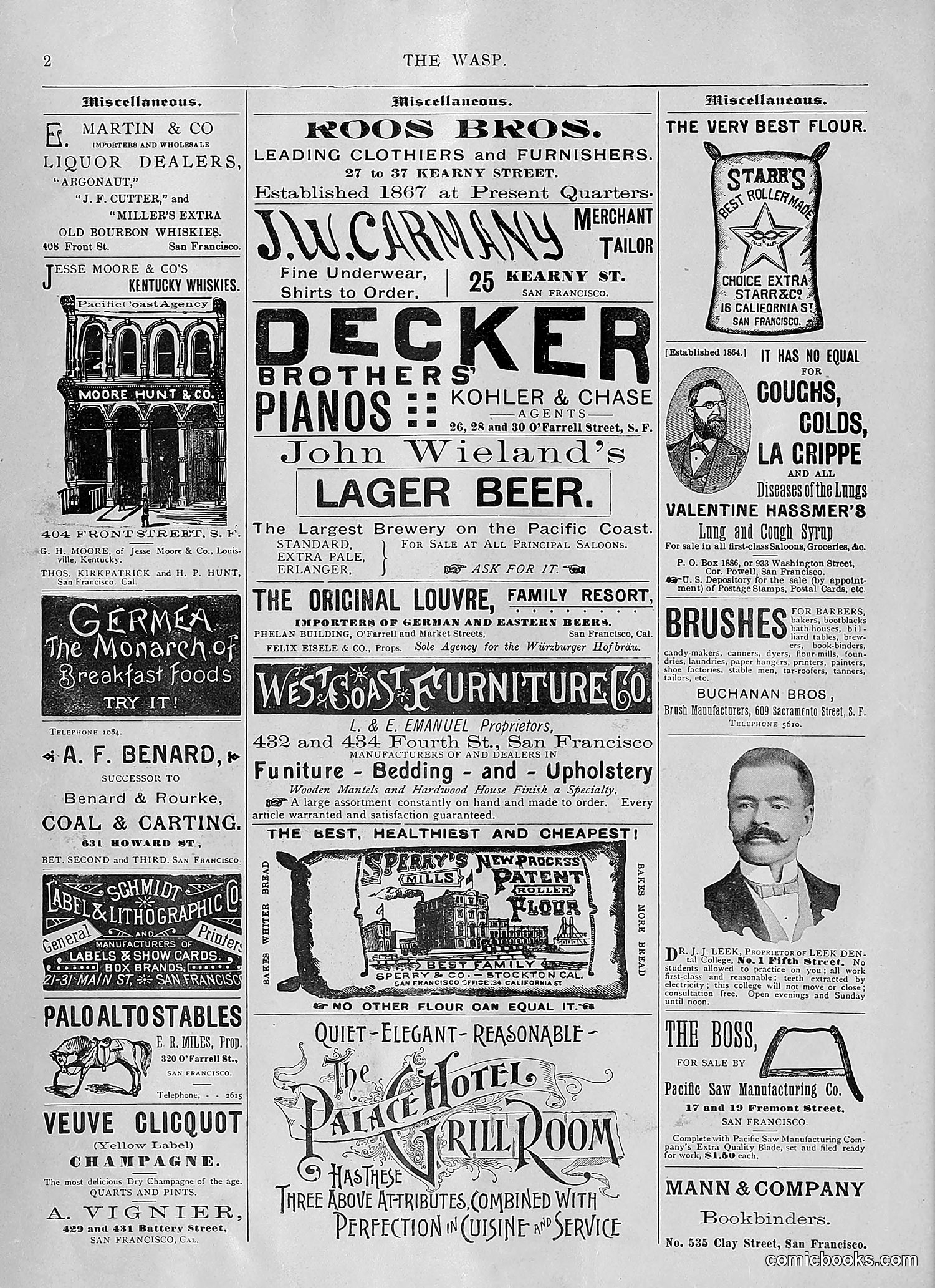 The Wasp — 1894 — page 29 of 552