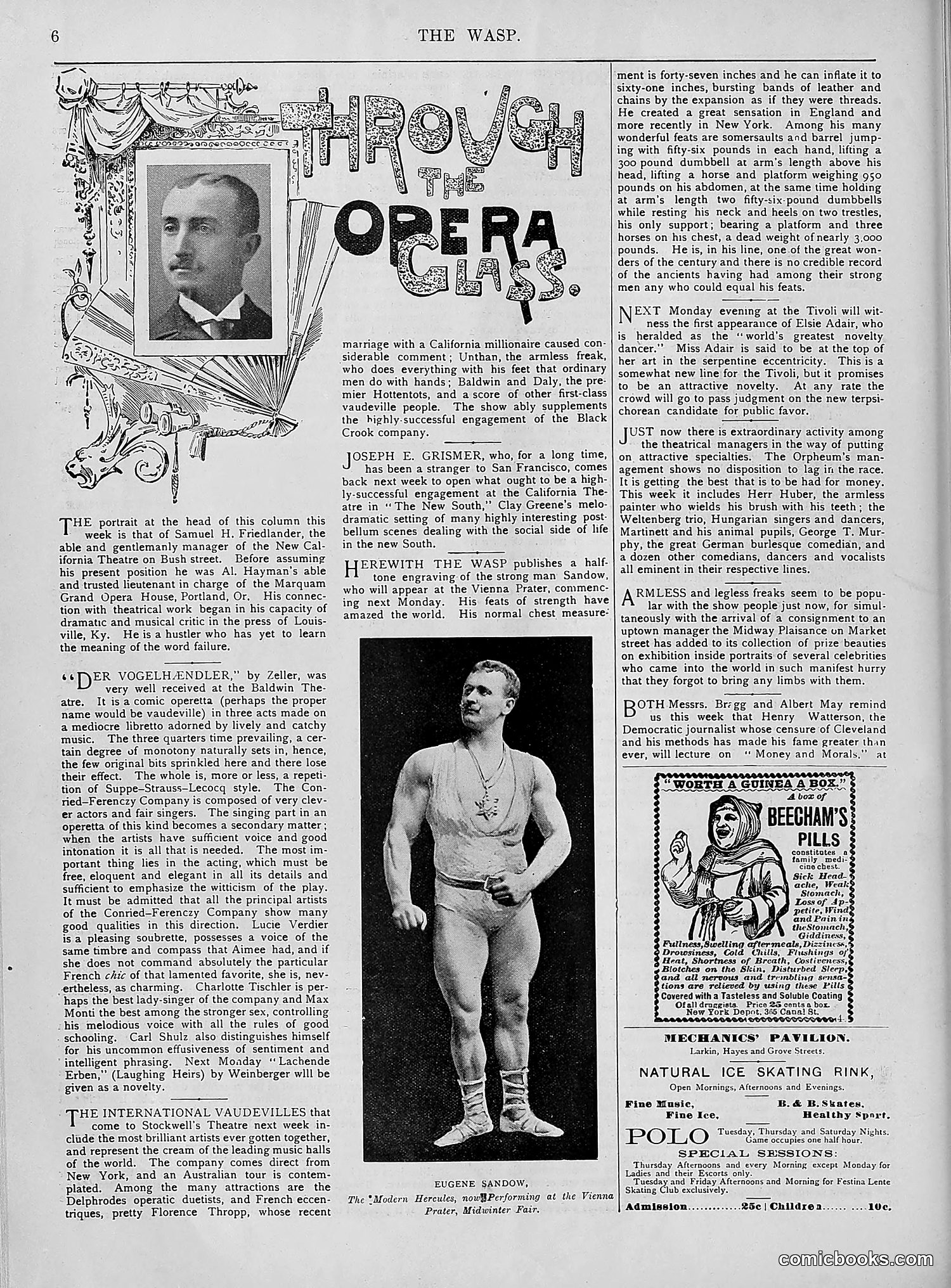 The Wasp — 1894 — page 281 of 552