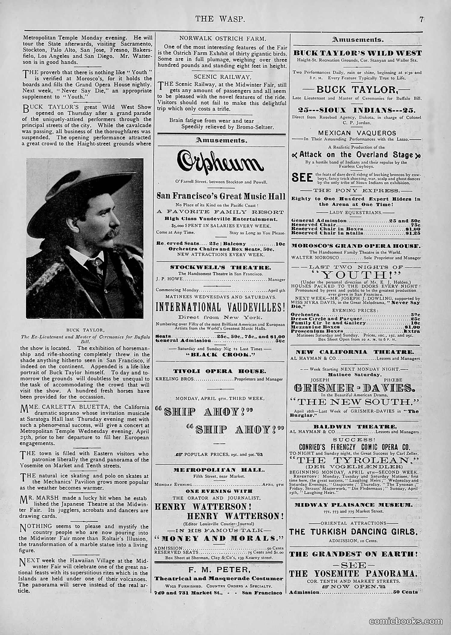 The Wasp — 1894 — page 282 of 552