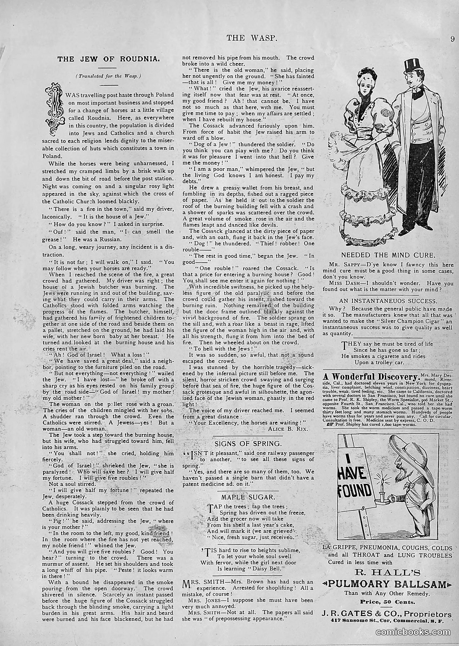 The Wasp — 1894 — page 284 of 552