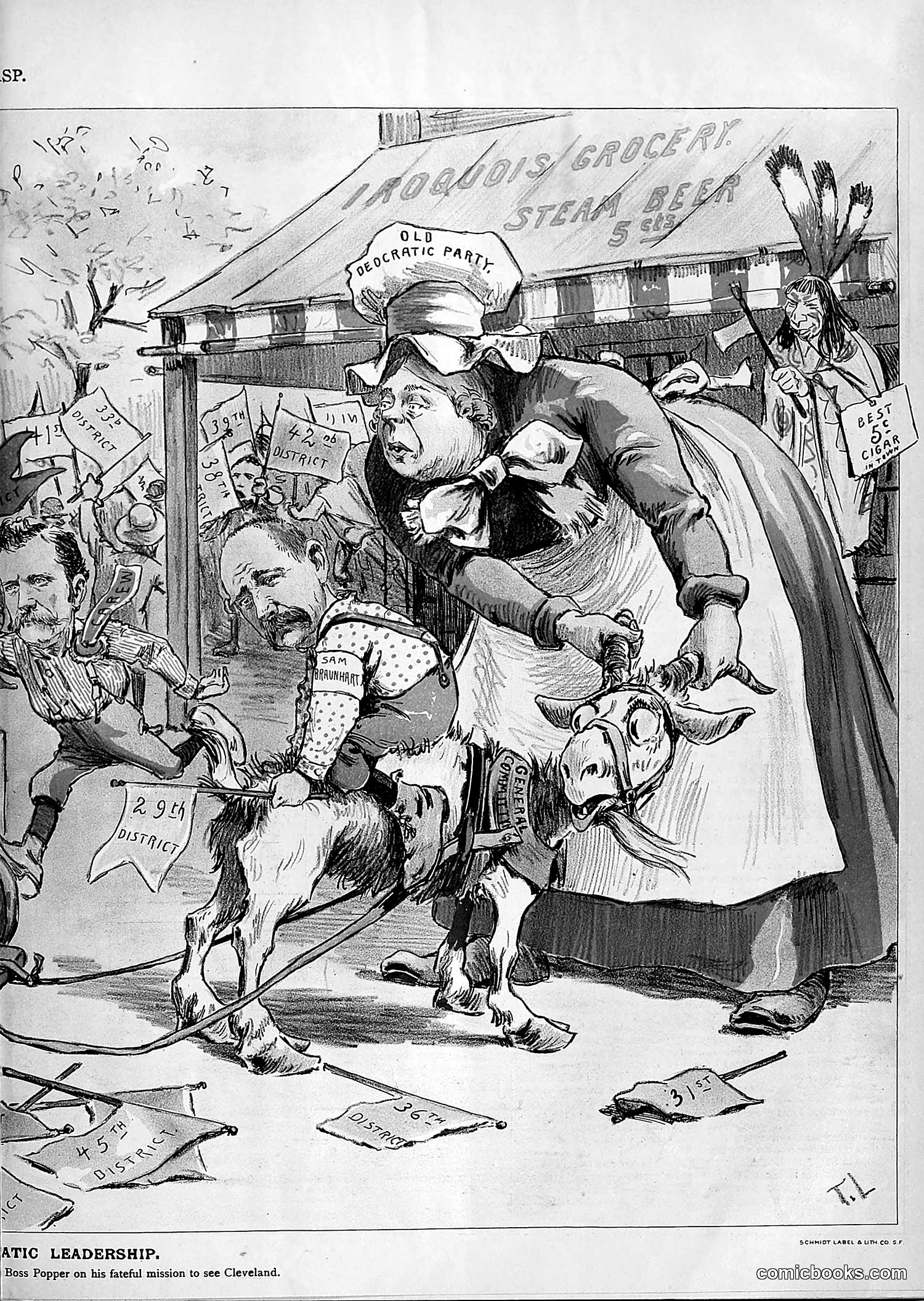 The Wasp — 1894 — page 286 of 552