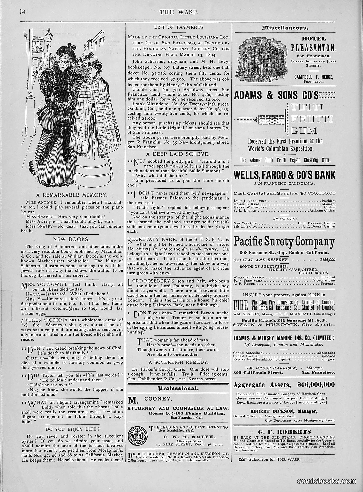 The Wasp — 1894 — page 289 of 552