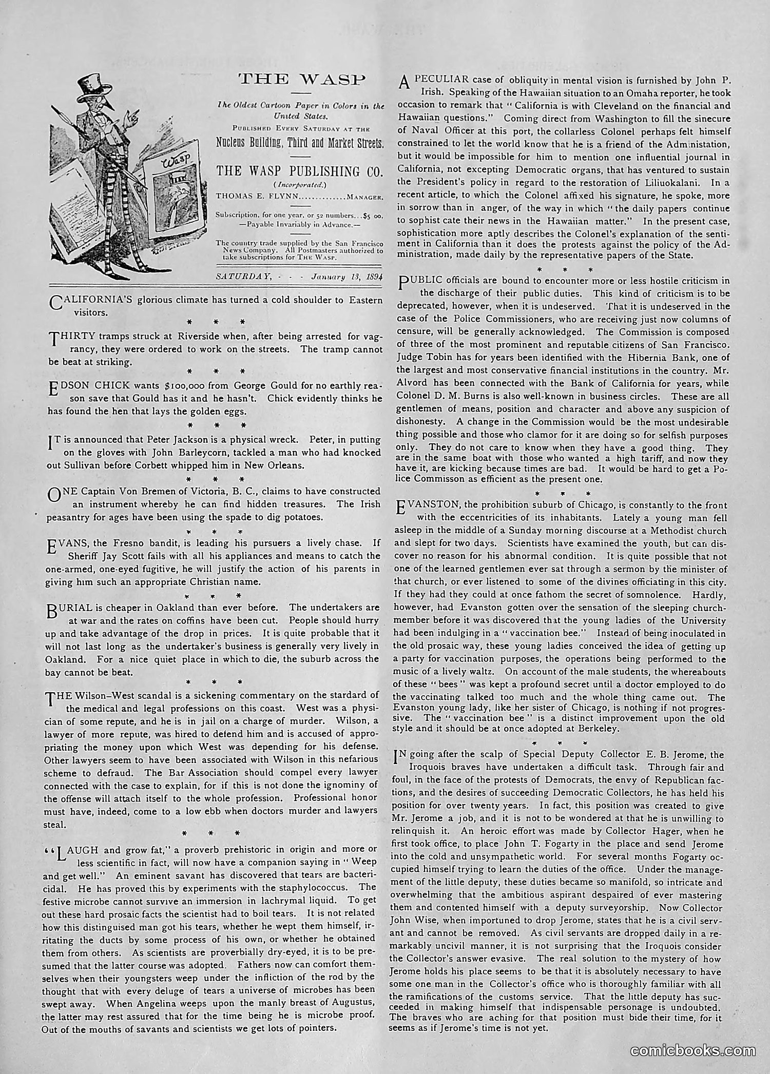 The Wasp — 1894 — page 30 of 552