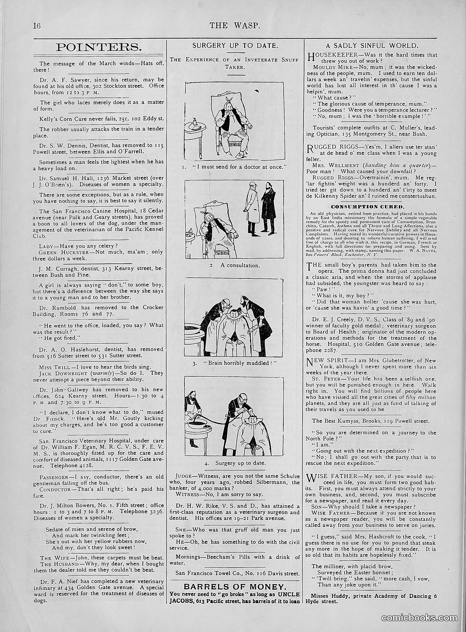 The Wasp — 1894 — page 291 of 552
