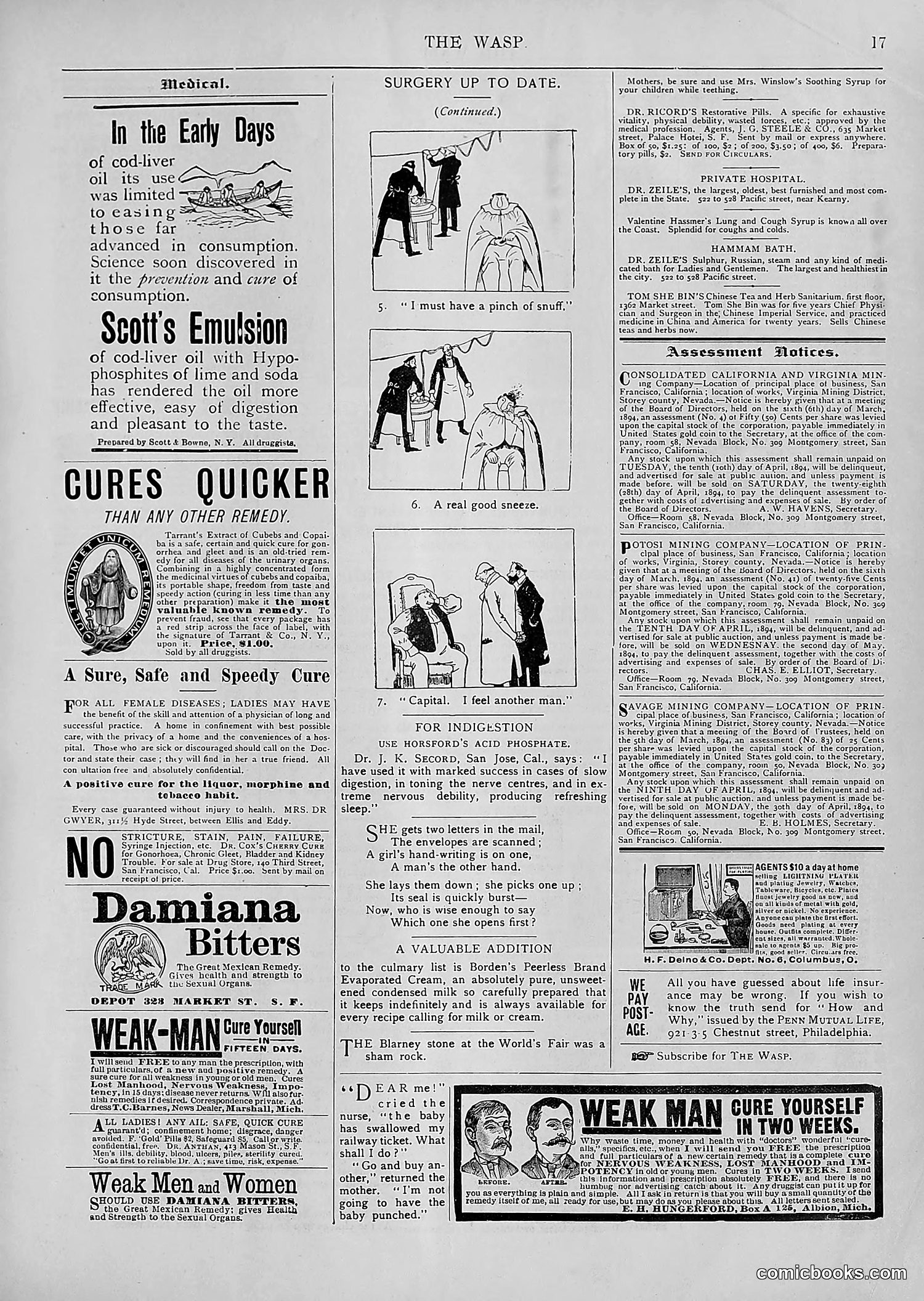 The Wasp — 1894 — page 292 of 552
