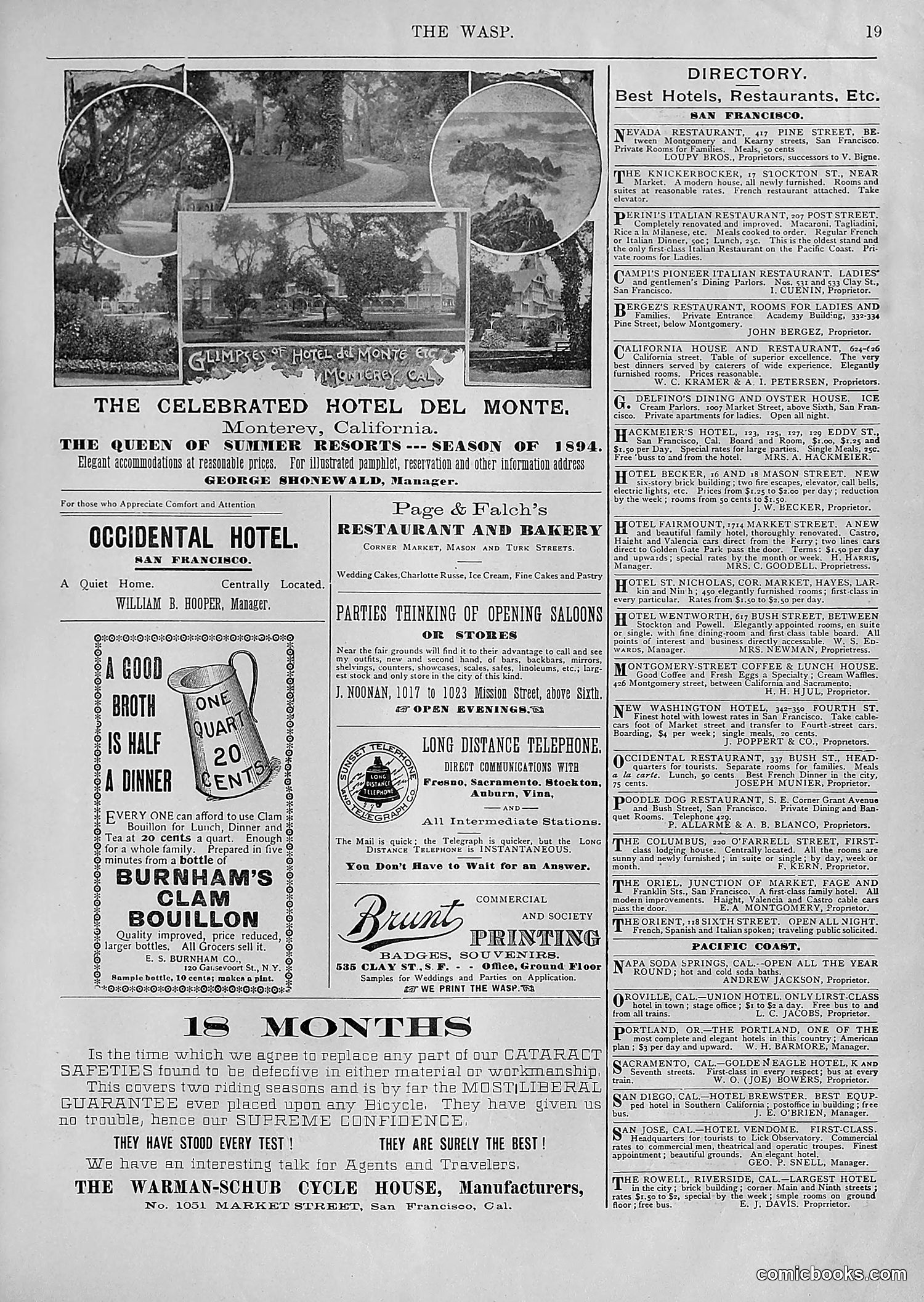 The Wasp — 1894 — page 294 of 552