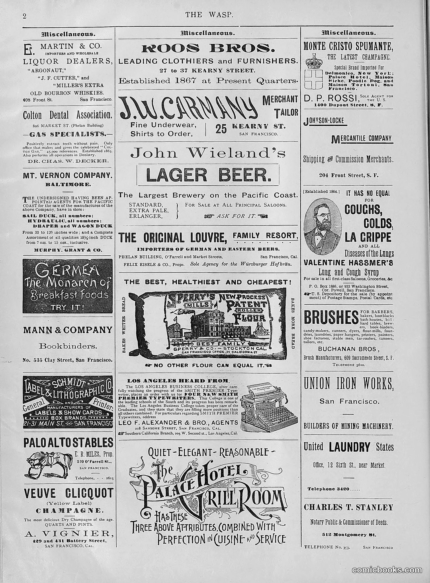 The Wasp — 1894 — page 297 of 552