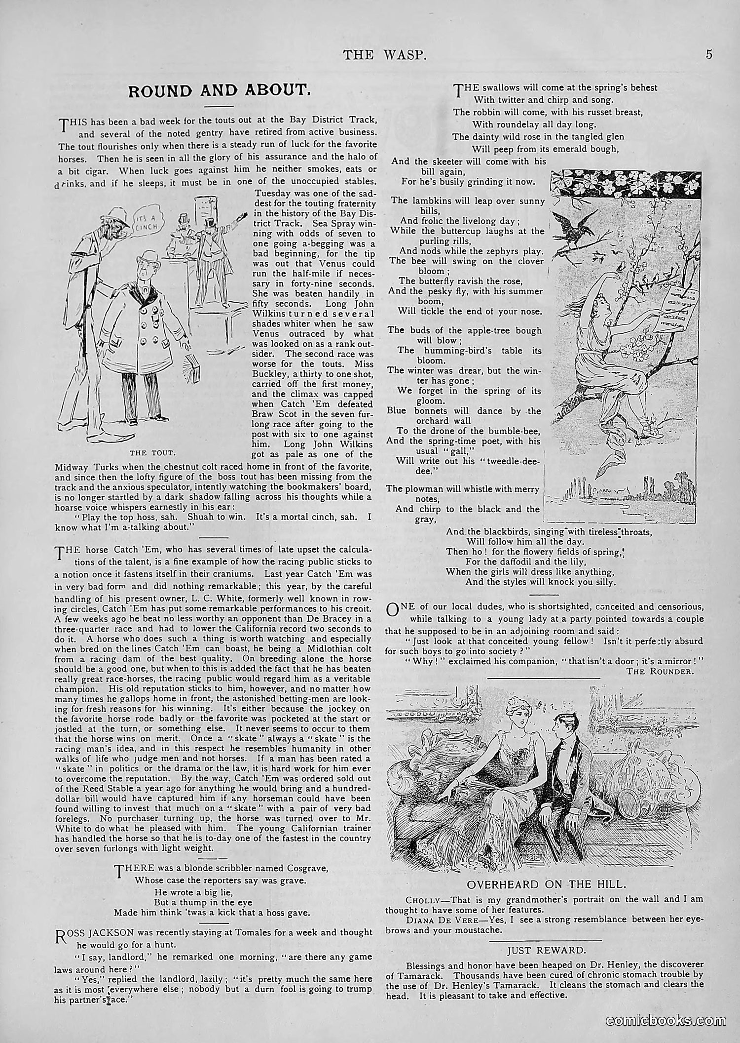 The Wasp — 1894 — page 300 of 552