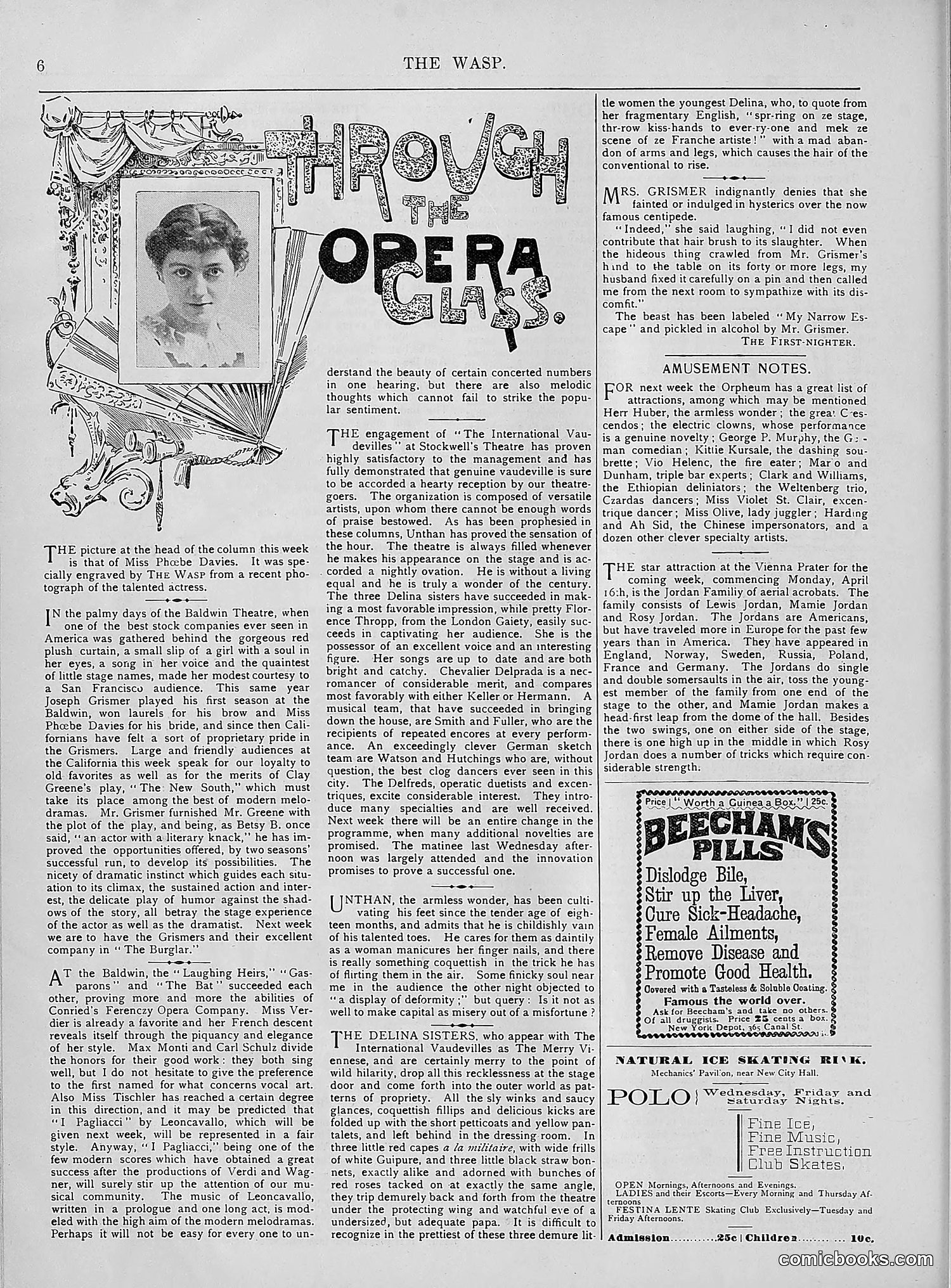 The Wasp — 1894 — page 301 of 552