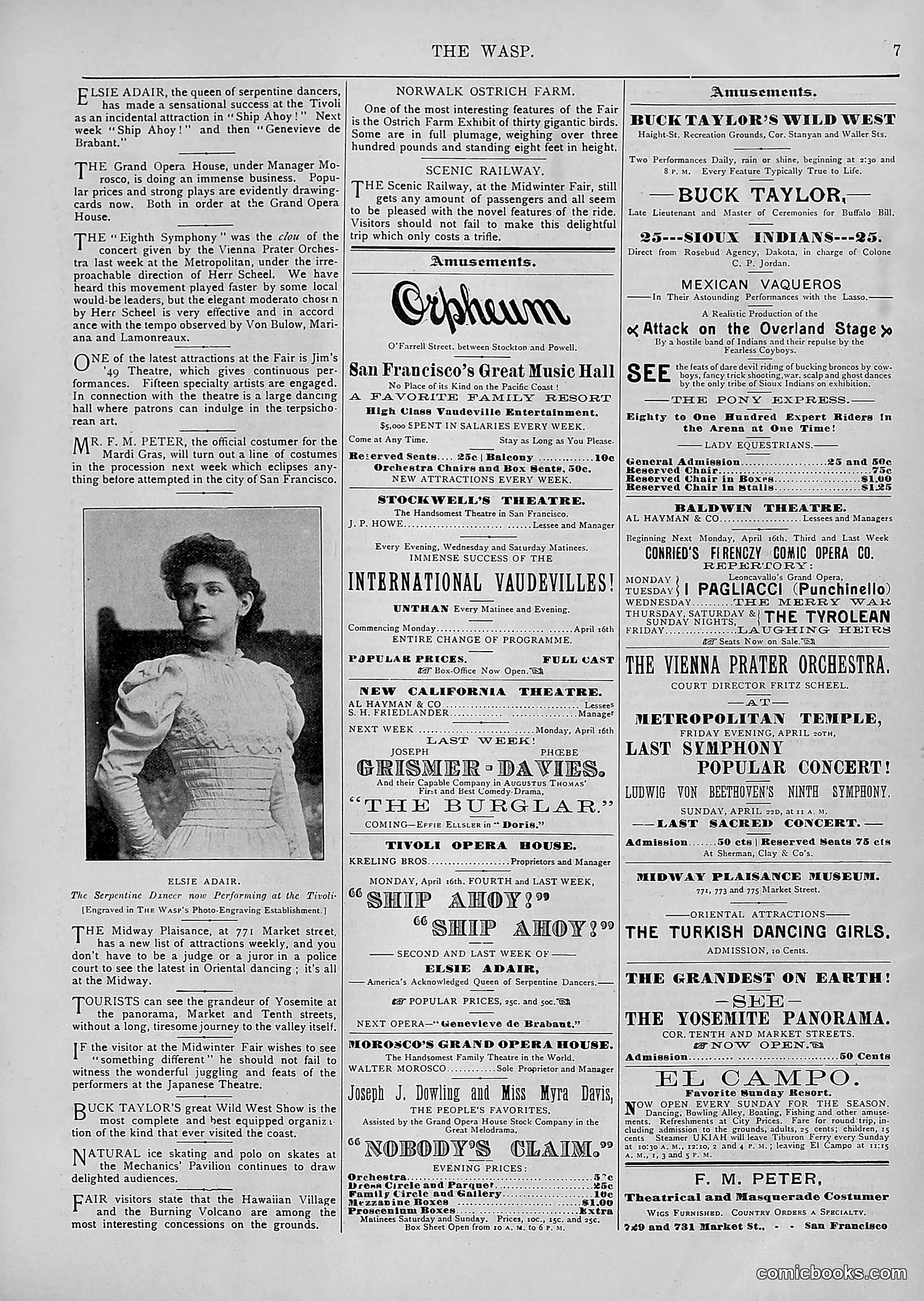 The Wasp — 1894 — page 302 of 552