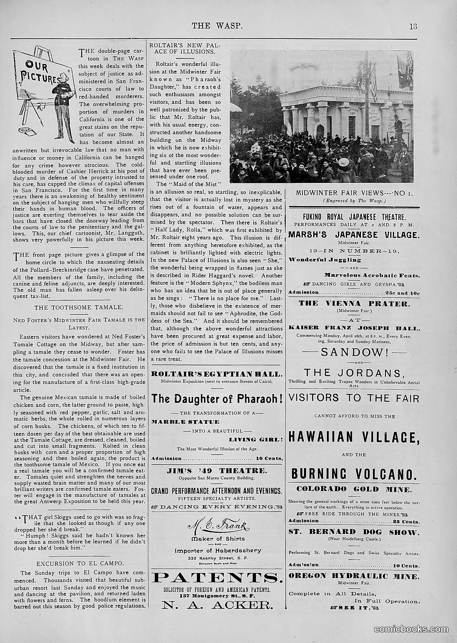 The Wasp — 1894 — page 308 of 552