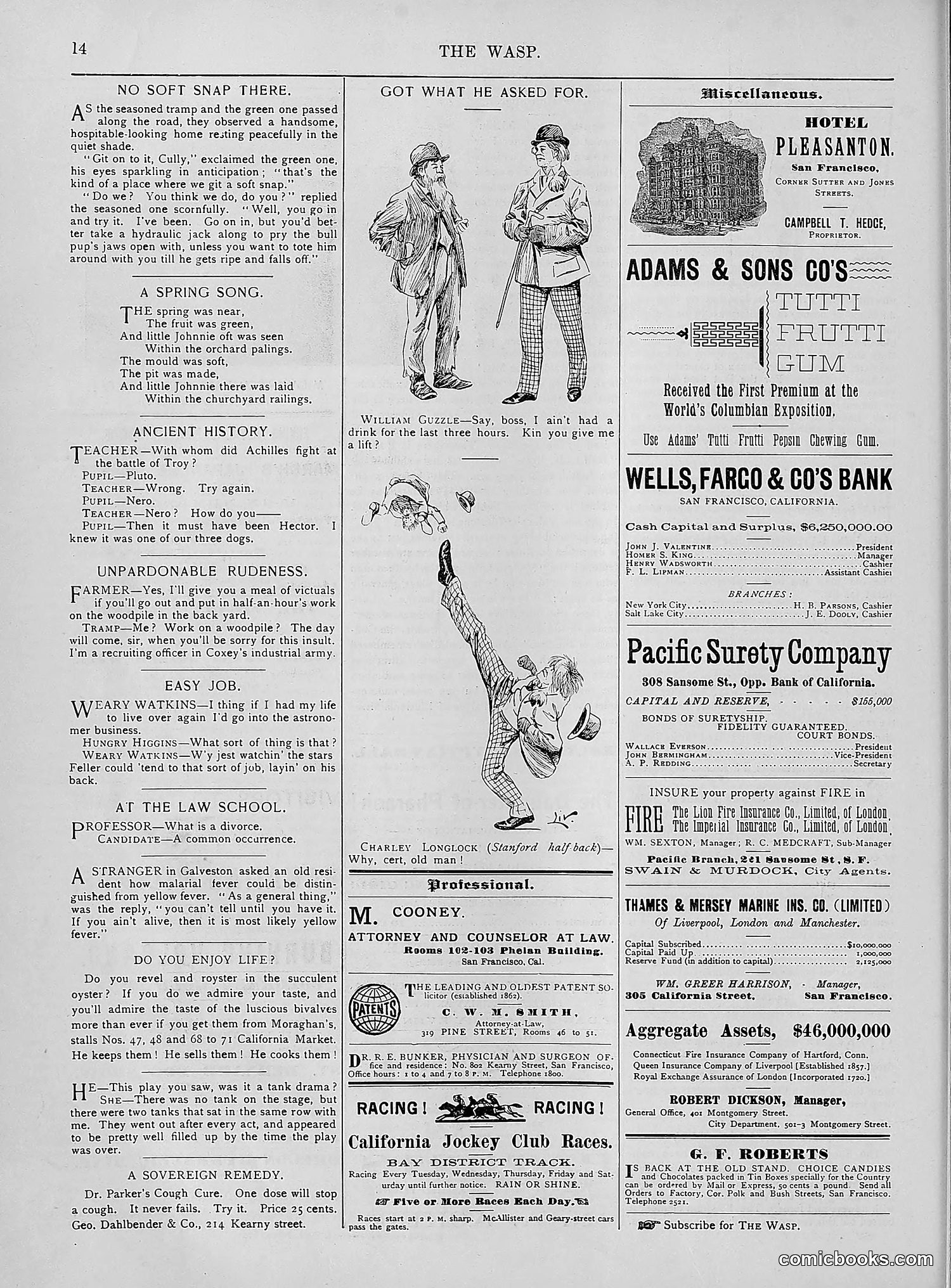 The Wasp — 1894 — page 309 of 552