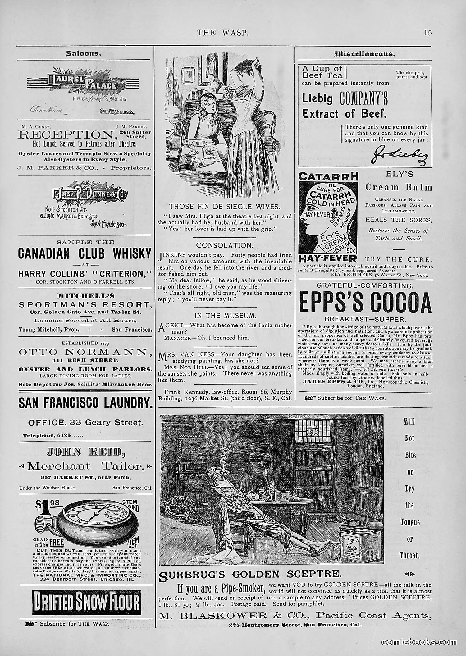 The Wasp — 1894 — page 310 of 552