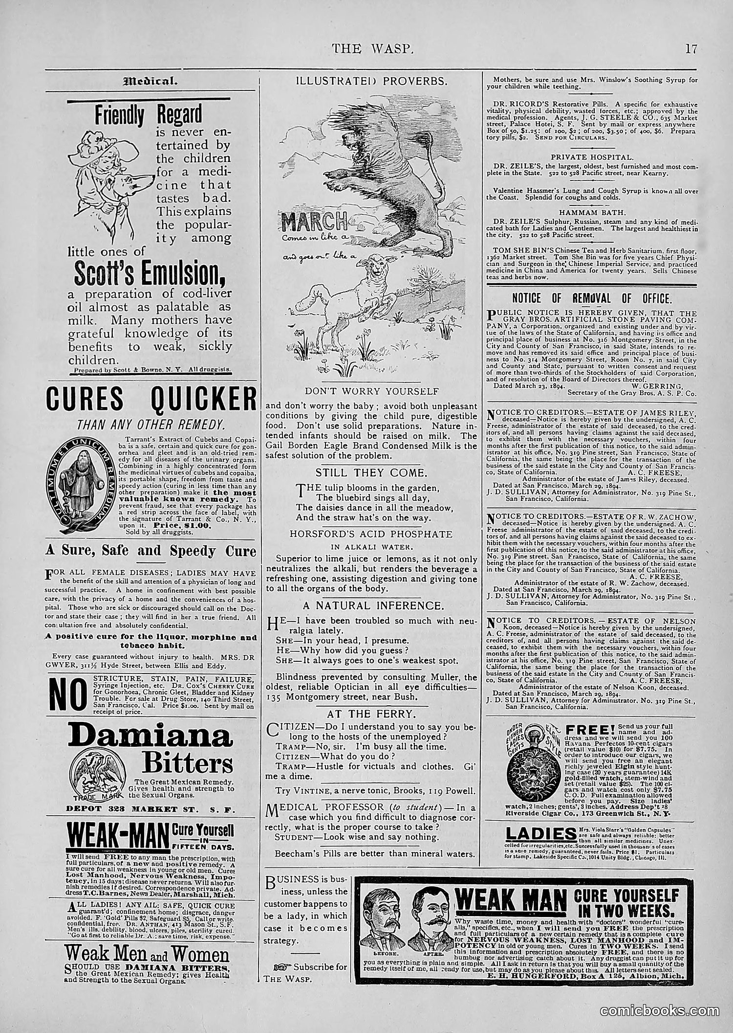 The Wasp — 1894 — page 312 of 552