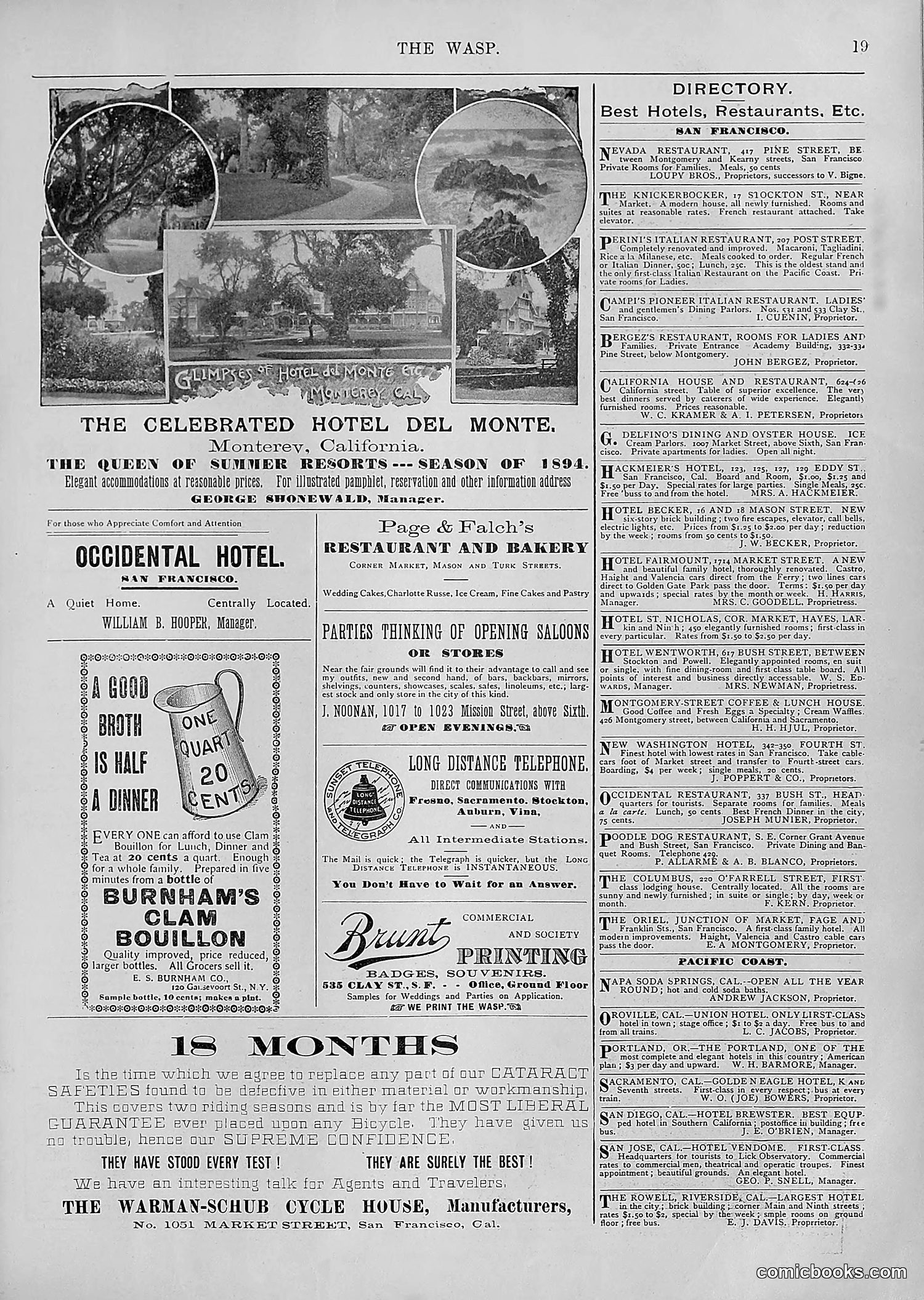 The Wasp — 1894 — page 314 of 552