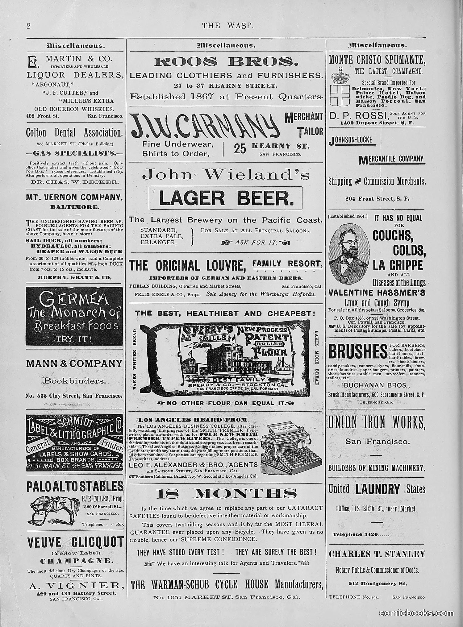 The Wasp — 1894 — page 317 of 552