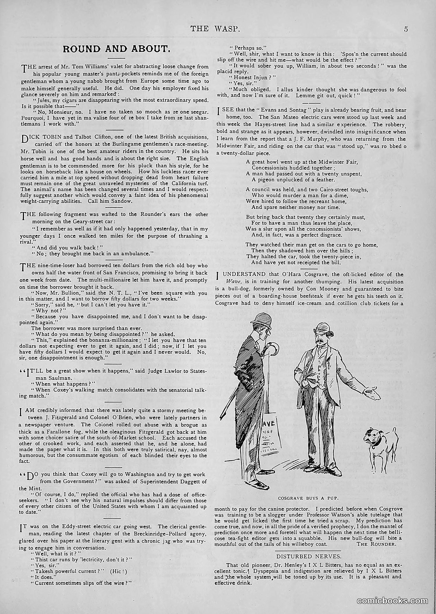 The Wasp — 1894 — page 320 of 552