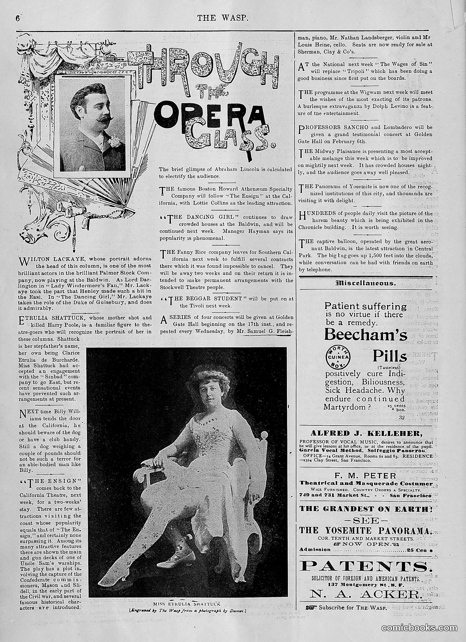 The Wasp — 1894 — page 33 of 552