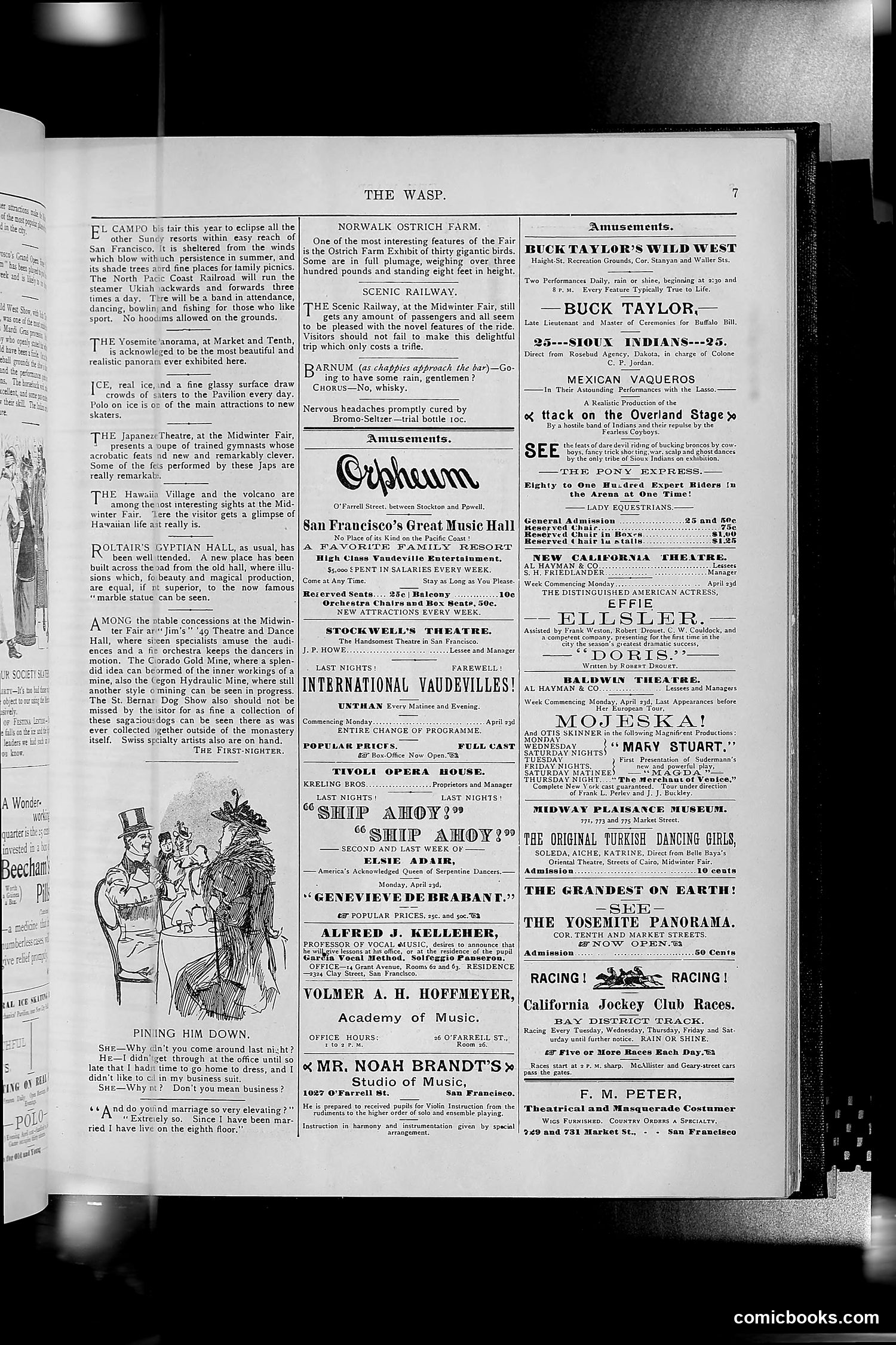 The Wasp — 1894 — page 322 of 552