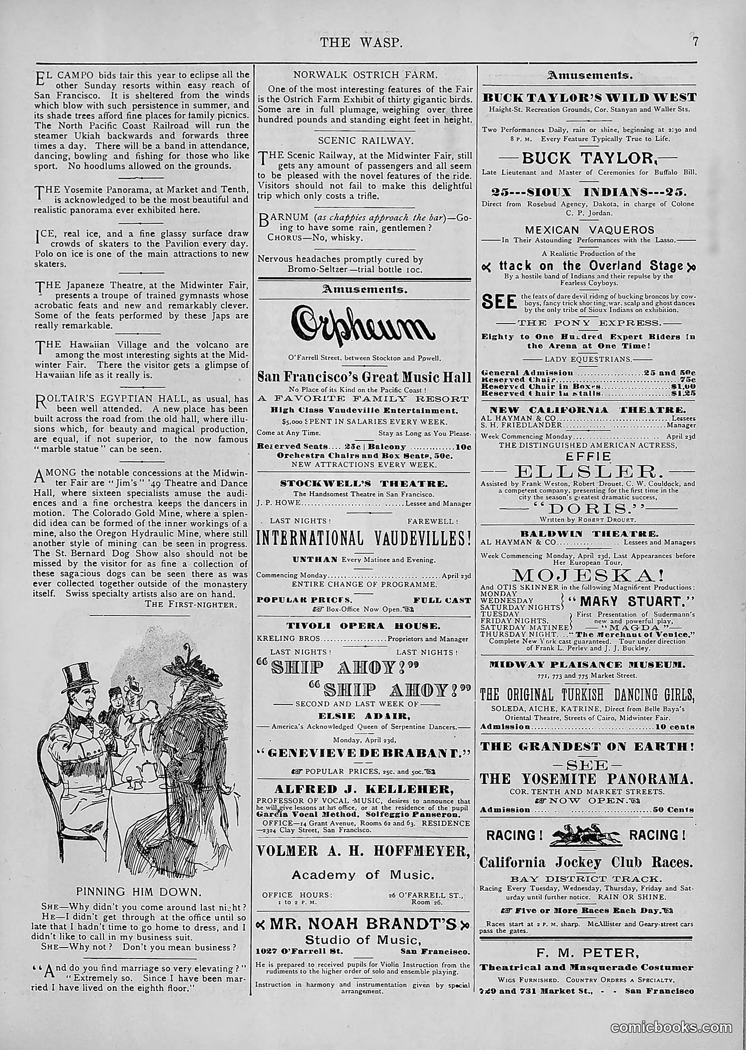 The Wasp — 1894 — page 324 of 552
