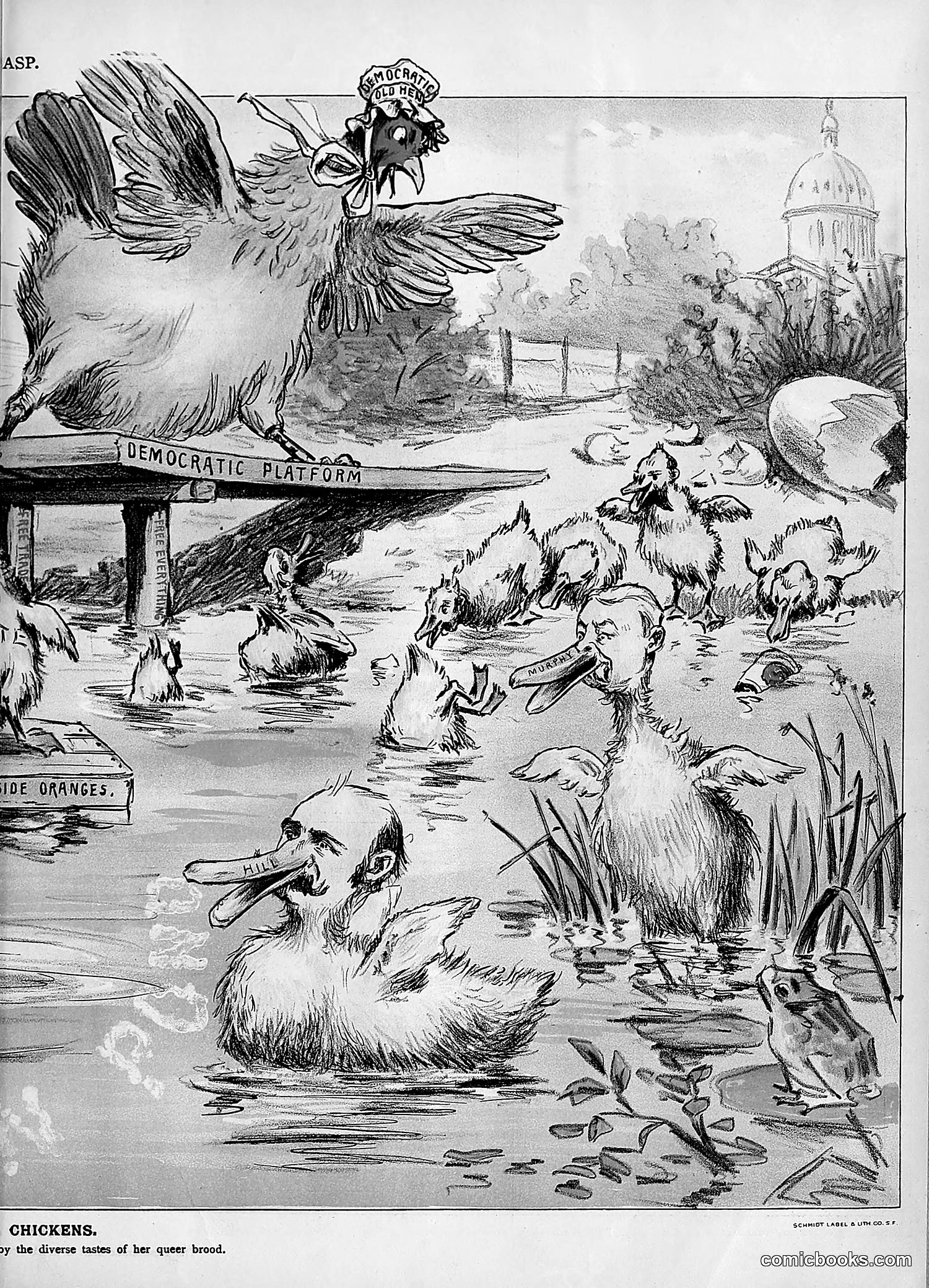 The Wasp — 1894 — page 328 of 552