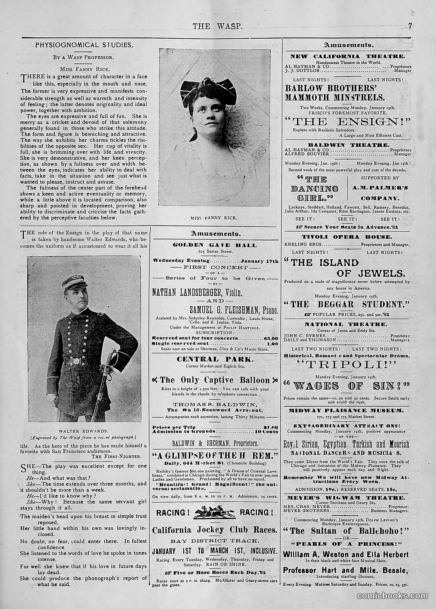 The Wasp — 1894 — page 34 of 552