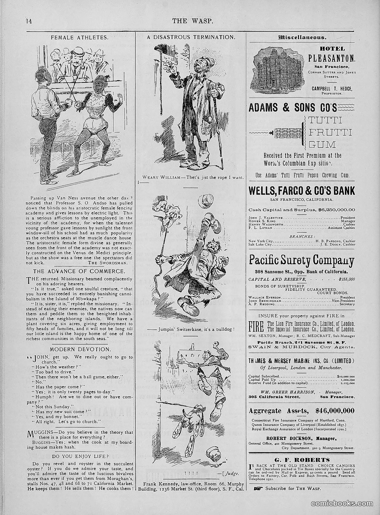 The Wasp — 1894 — page 331 of 552