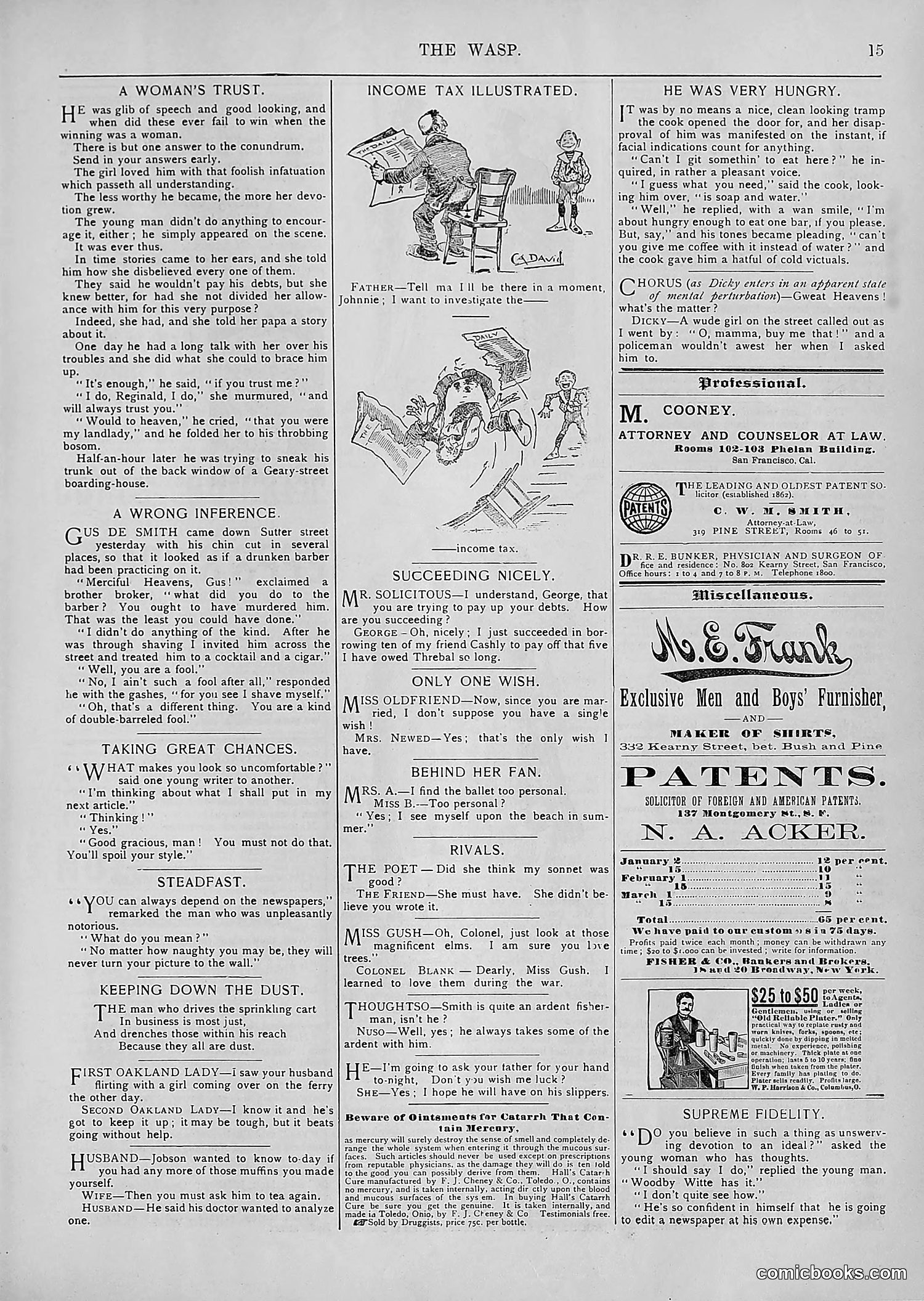 The Wasp — 1894 — page 332 of 552