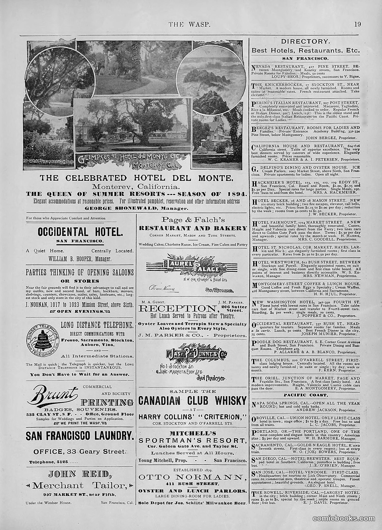 The Wasp — 1894 — page 336 of 552